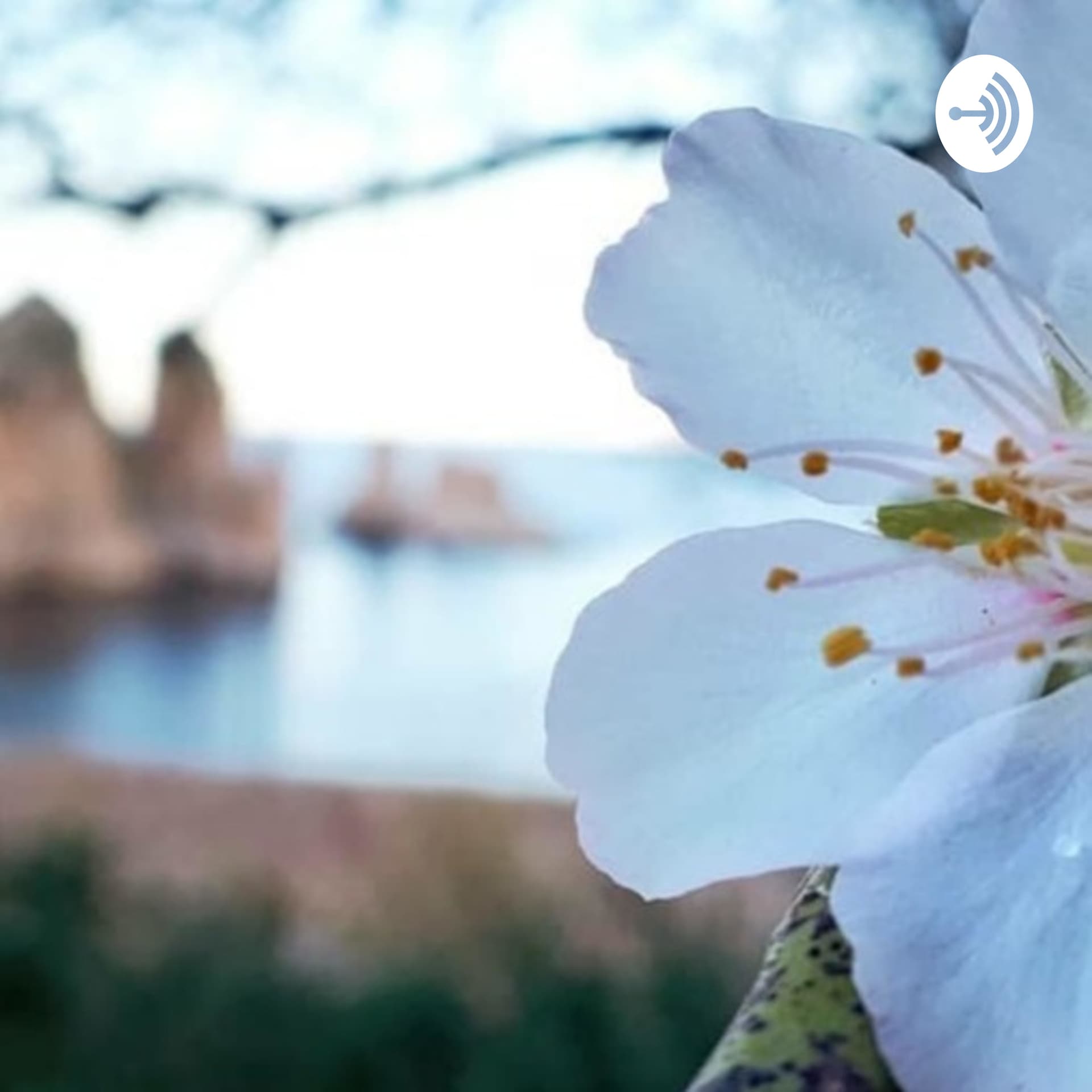 All'ombra del mandorlo in fiore - Podcasts