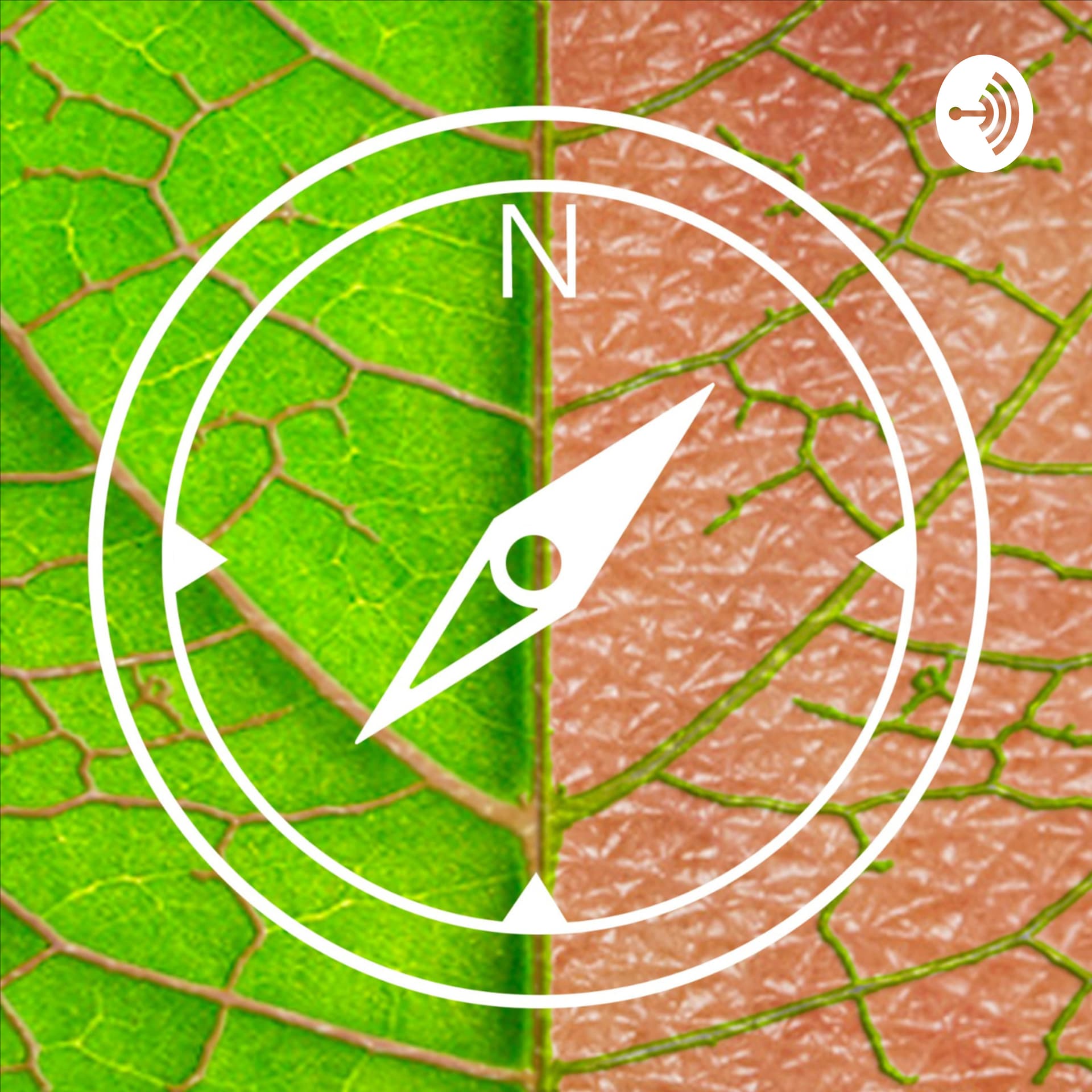 impresevive - Podcasts