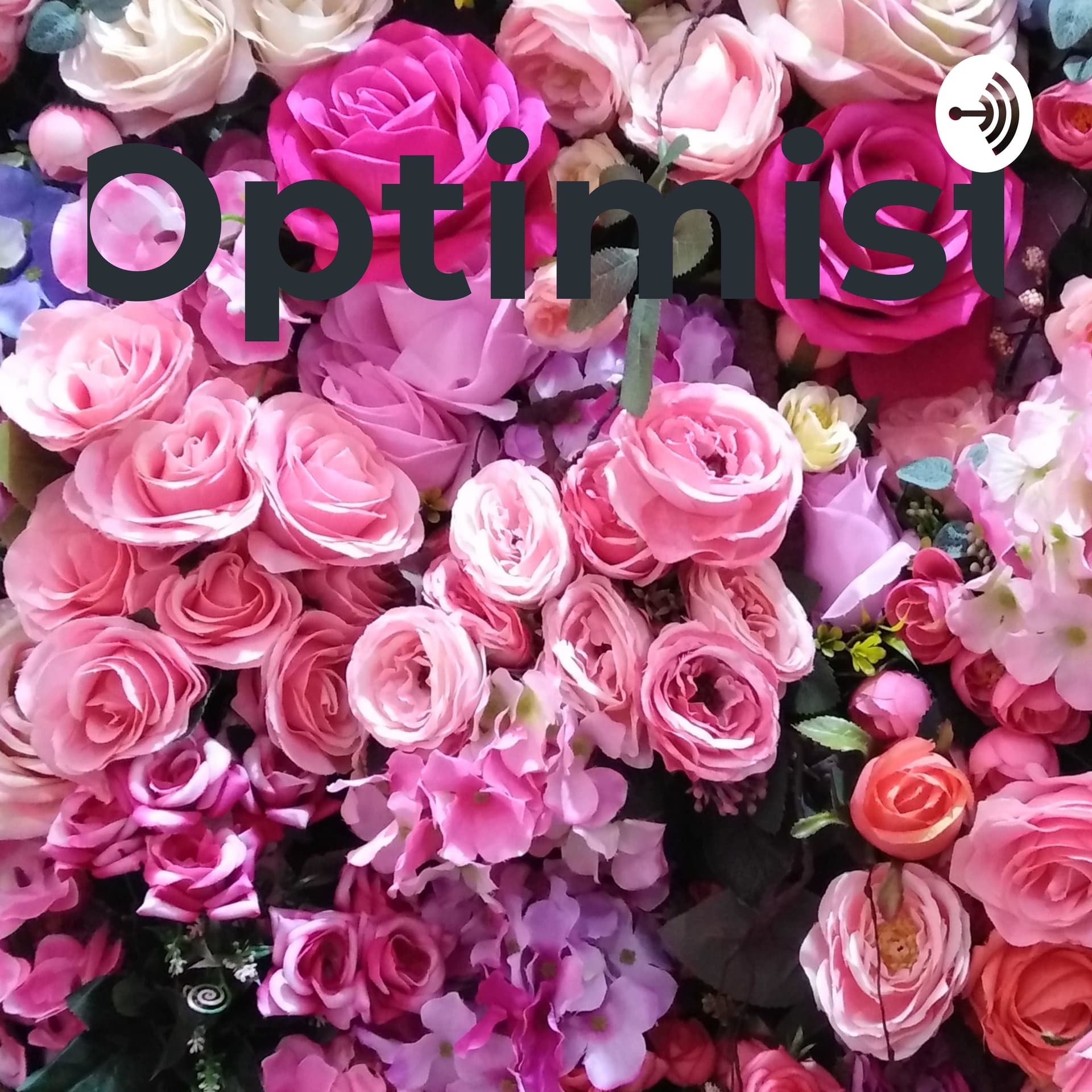 Optimist - Roopa - Podcasts