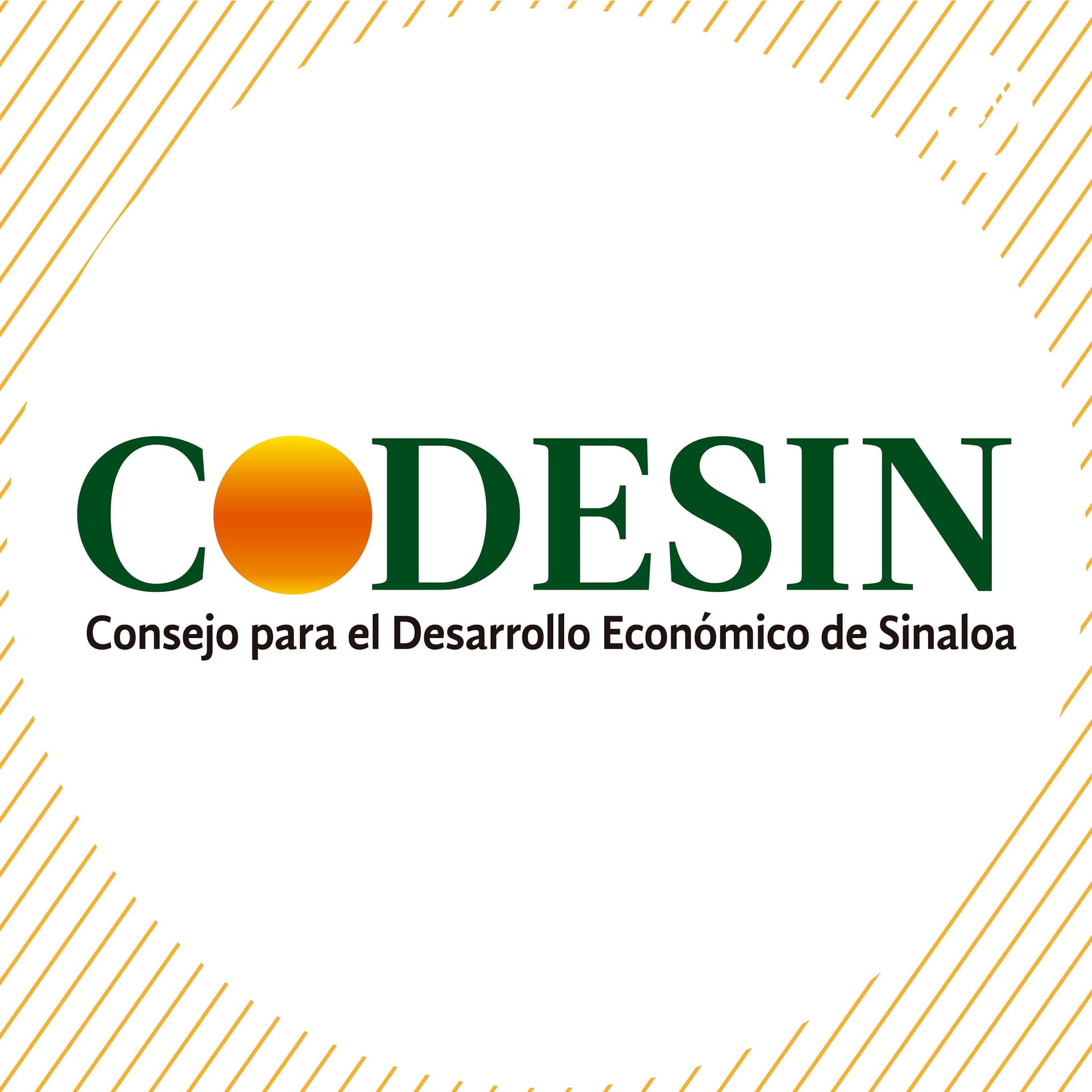 Codesin CodeTalks