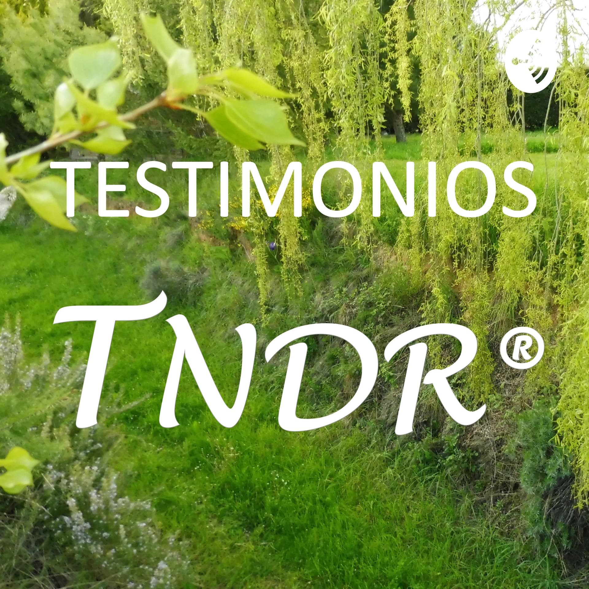TESTIMONIOS TNDR - Podcasts