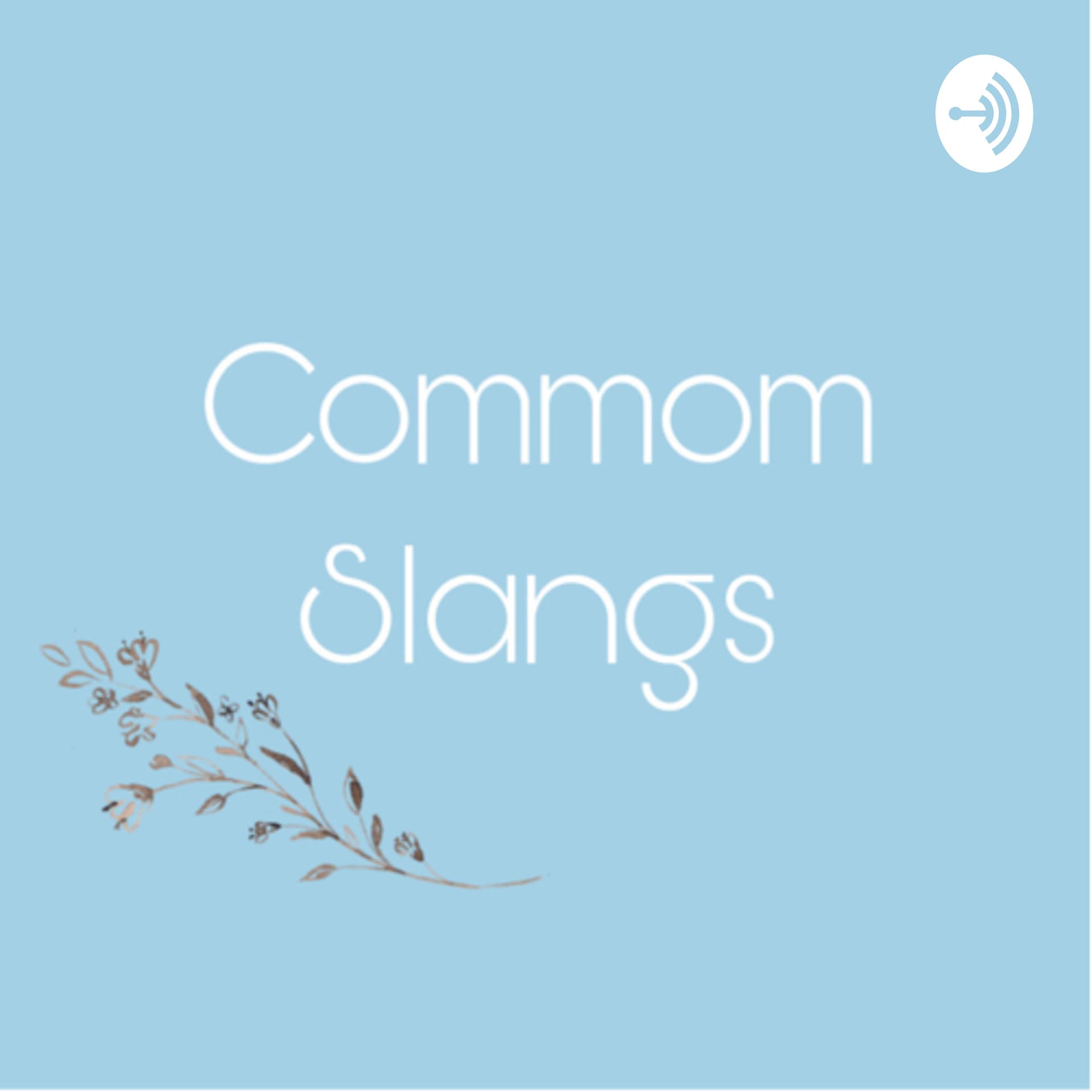 COMMOM SLANGS