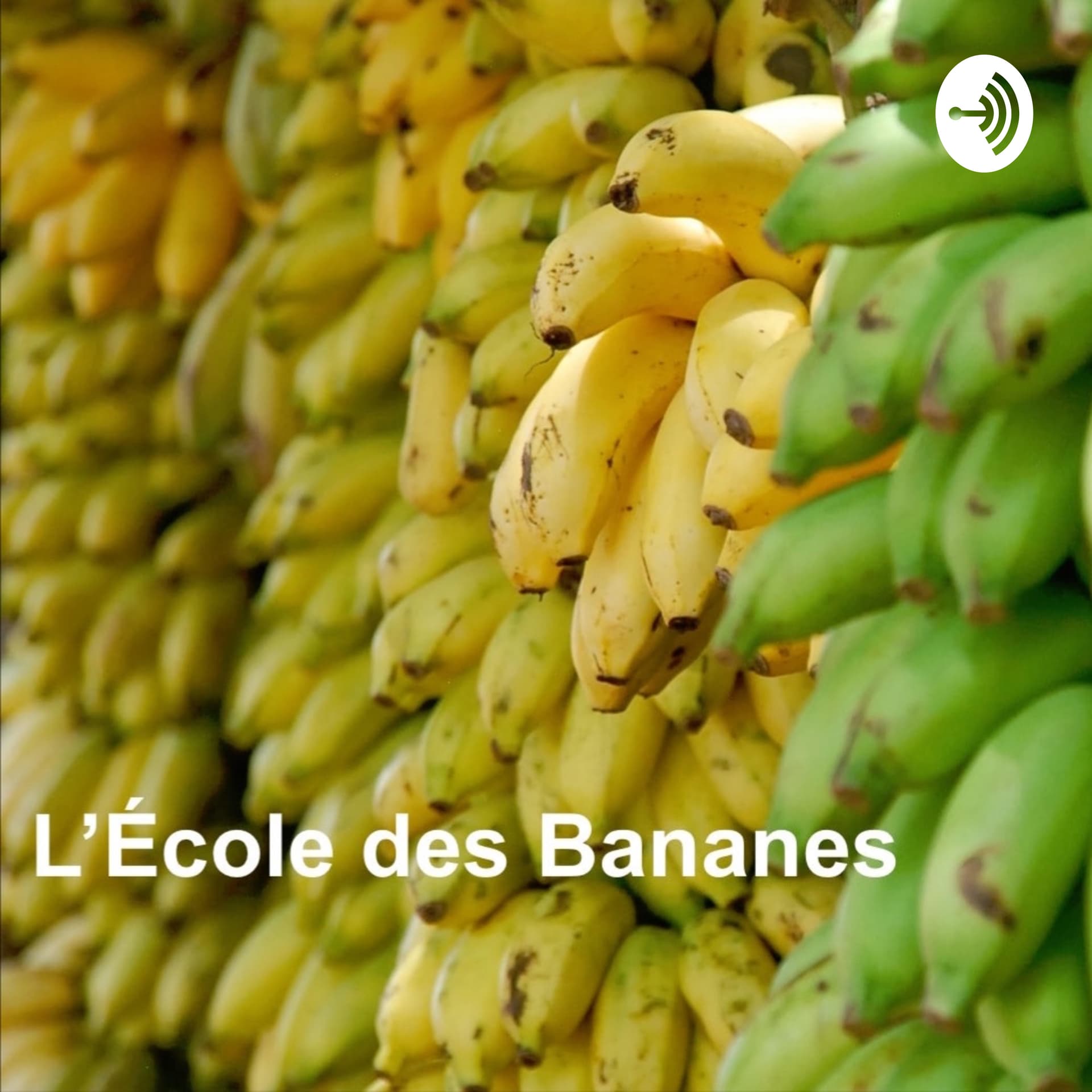 L'école des bananes - Fréquence Banane - Podcasts