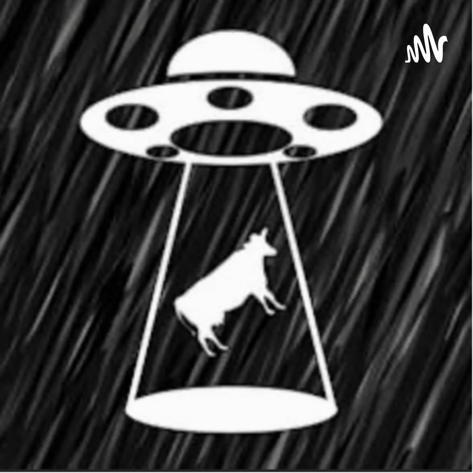 Let’s Share True Stories - Podcasts