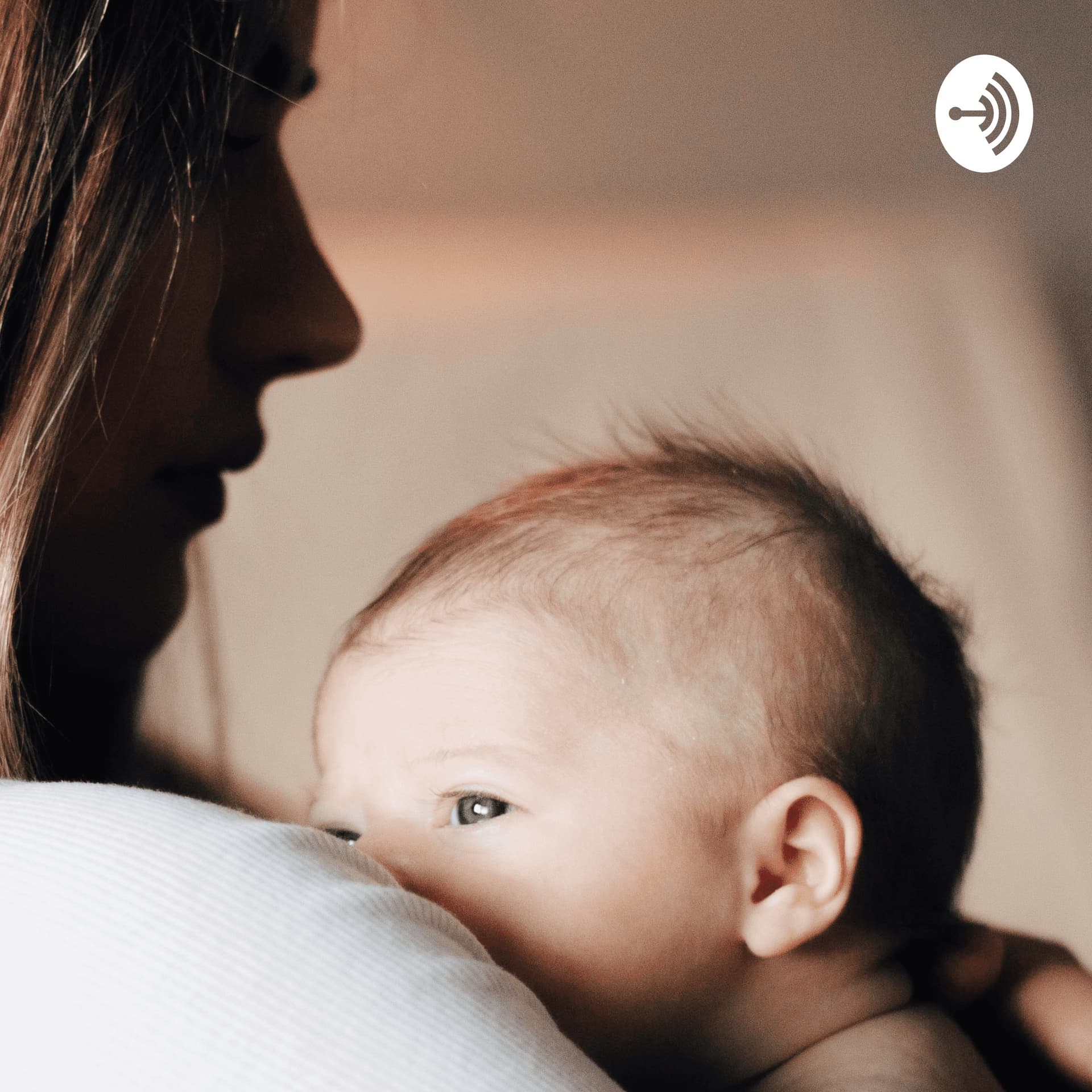 The Birth Mother's Handbook - Podcasts