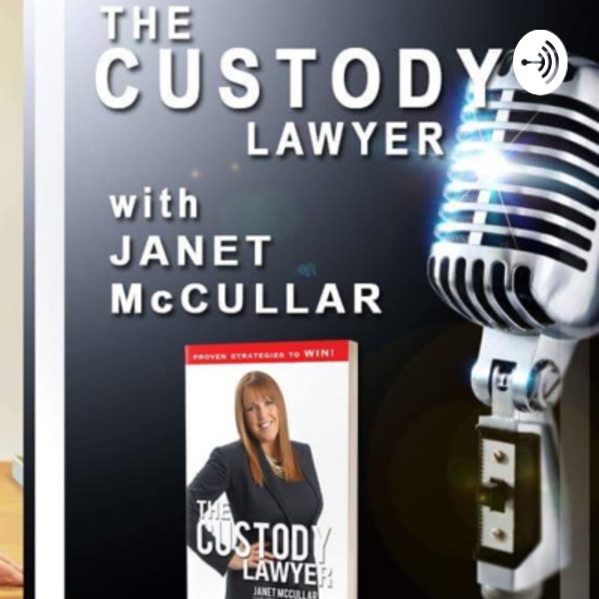 The Custody Lawyer - Podcasts