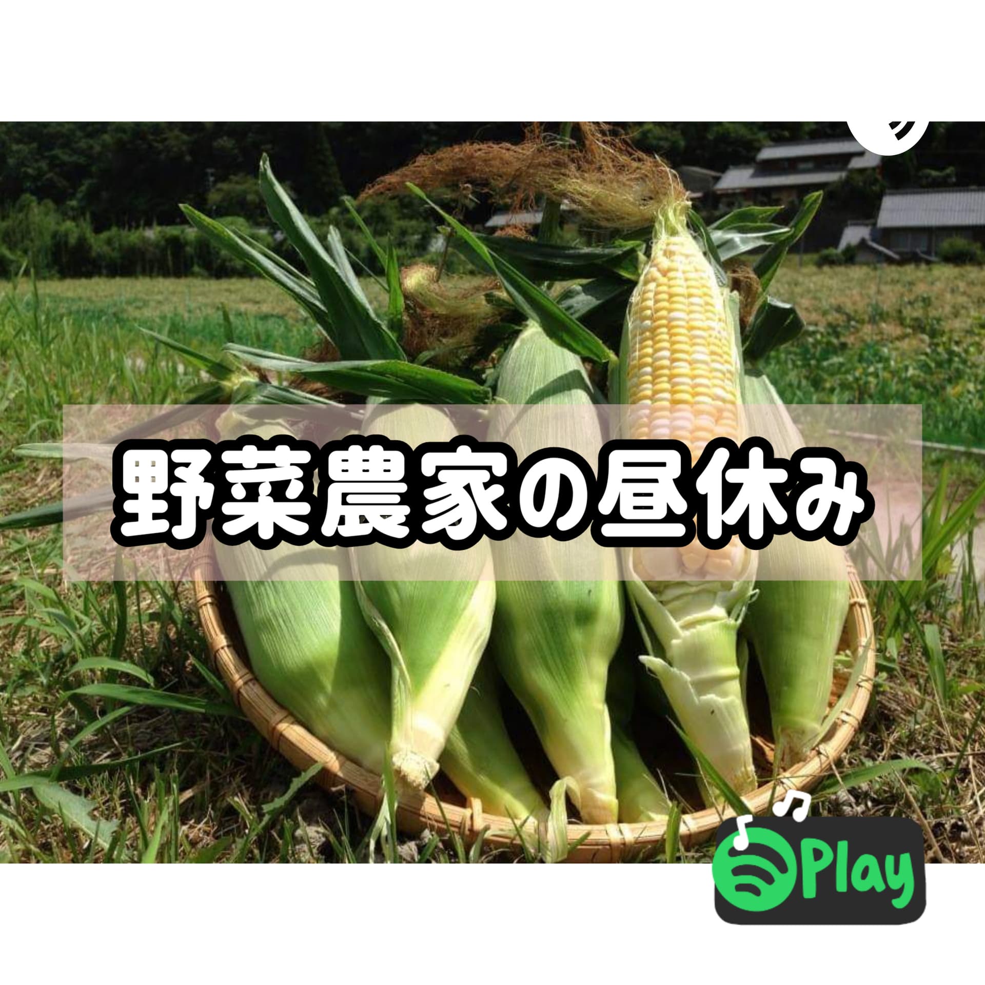 野菜農家の昼休み - Podcasts