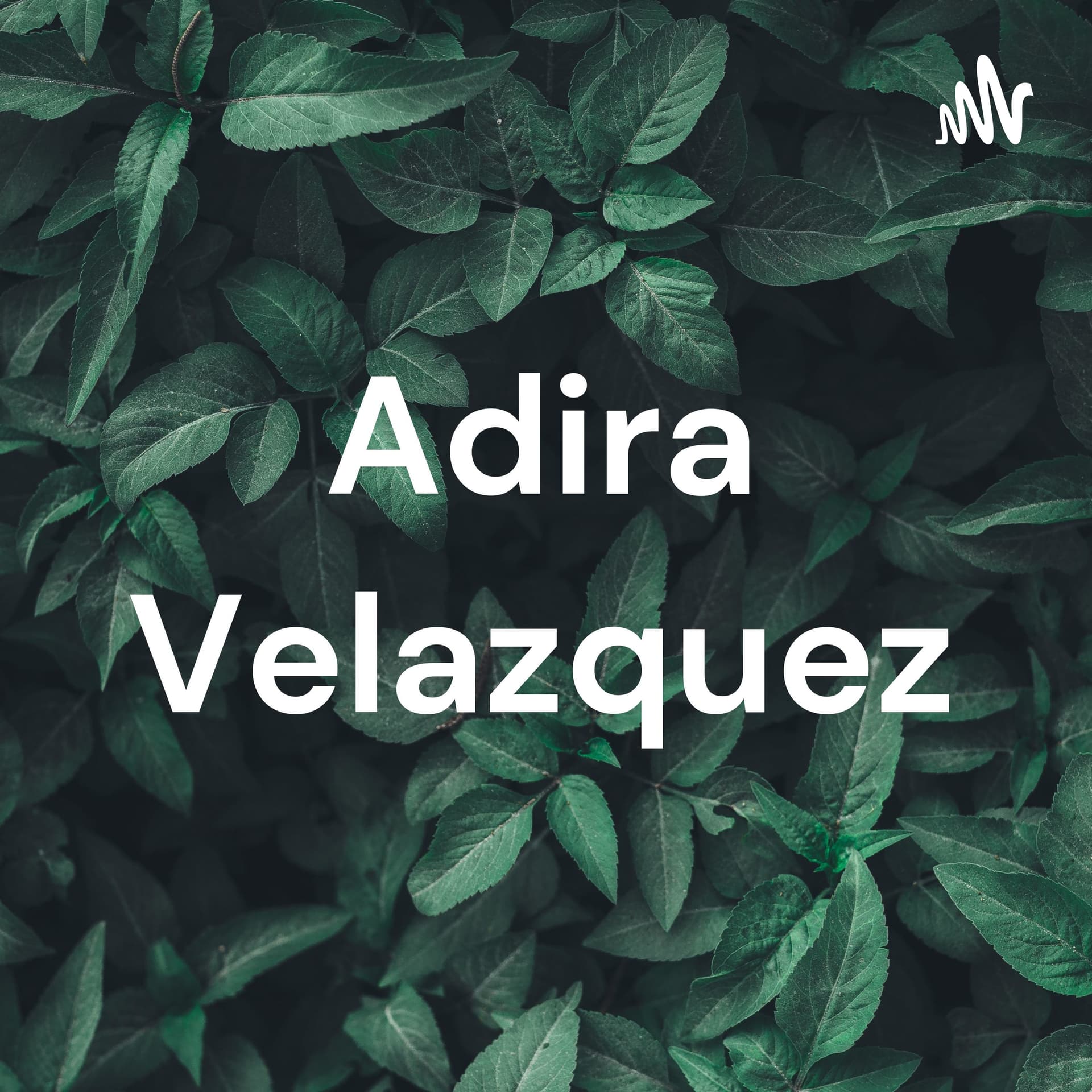 Adira Velazquez
