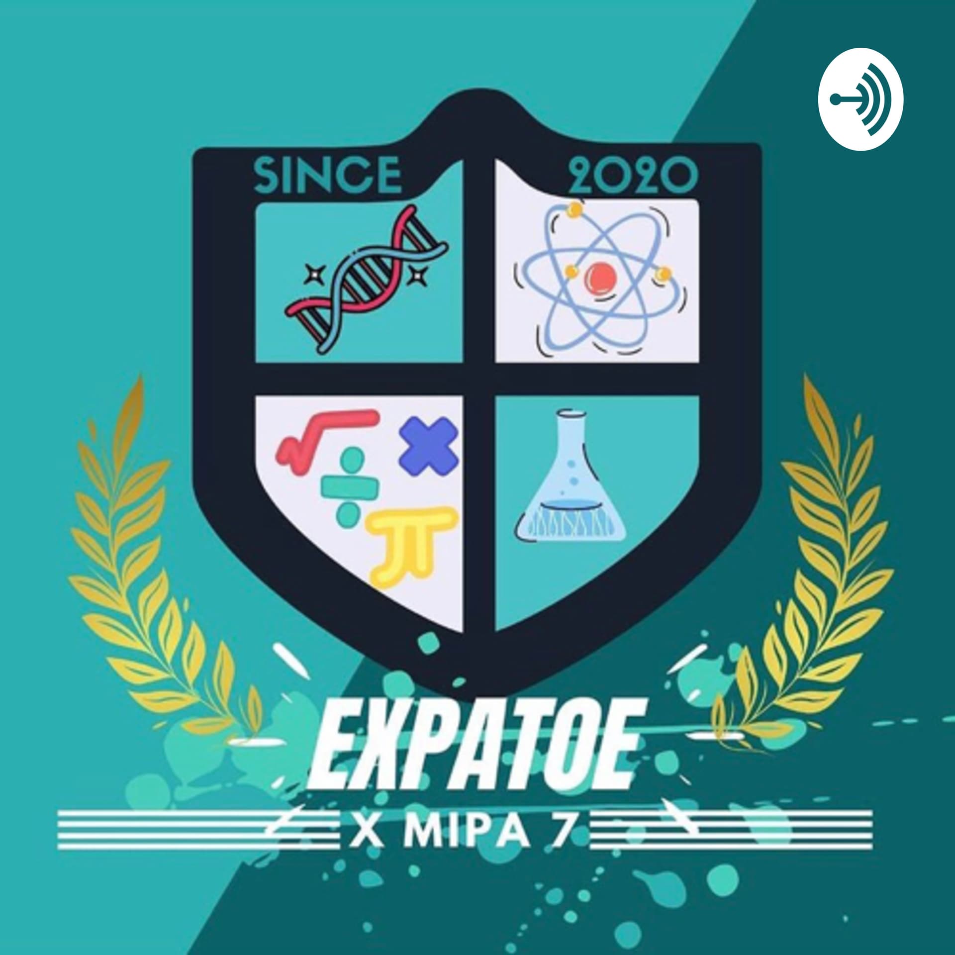 X MIPA 7