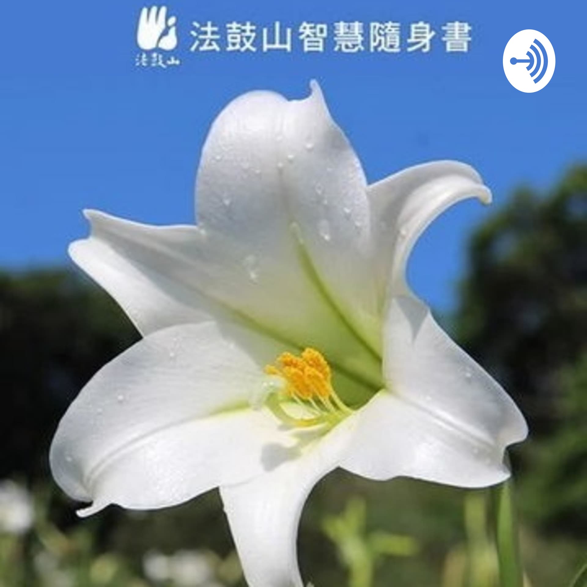 法鼓山智慧隨身書 - Podcasts