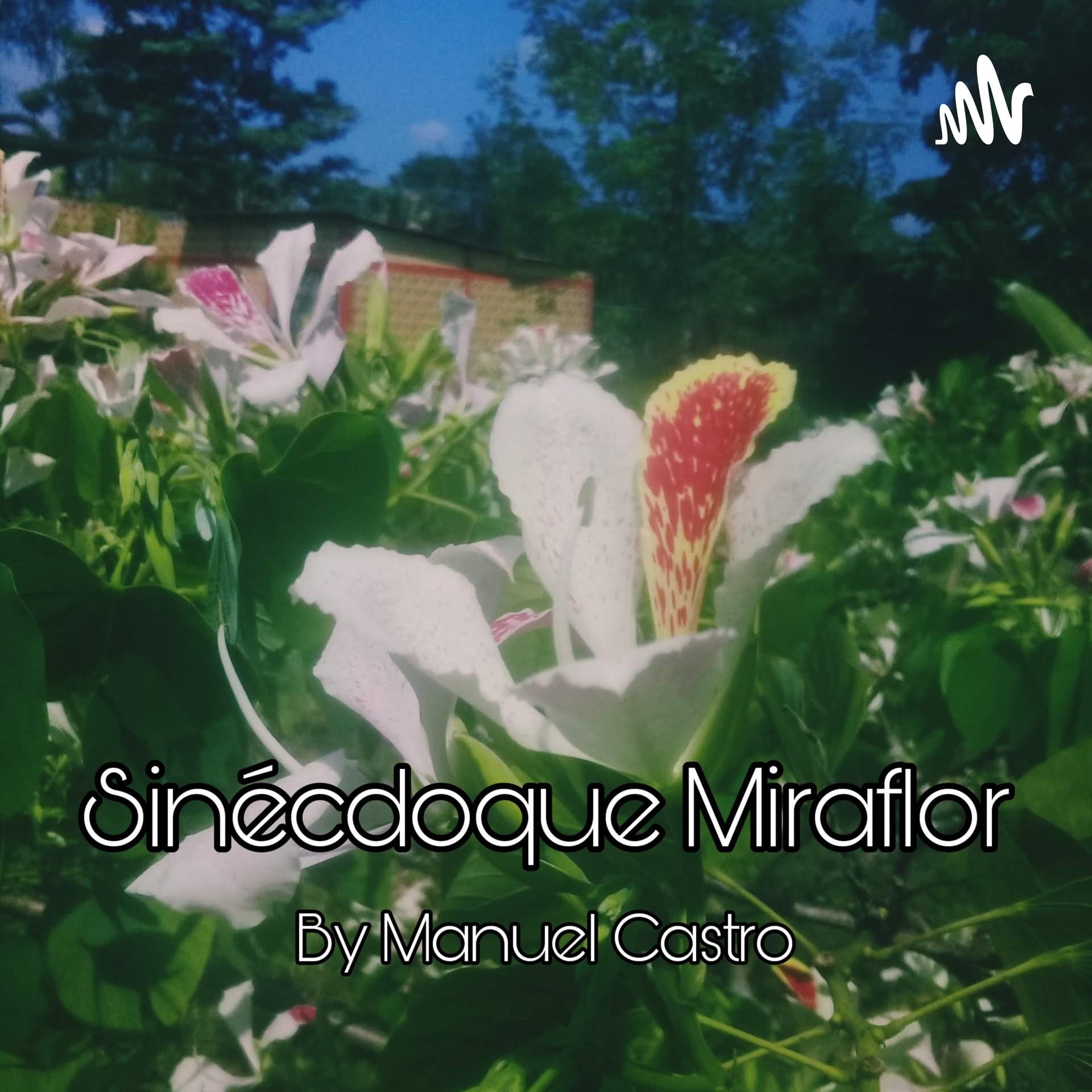 Sinécdoque Miraflor - Podcasts