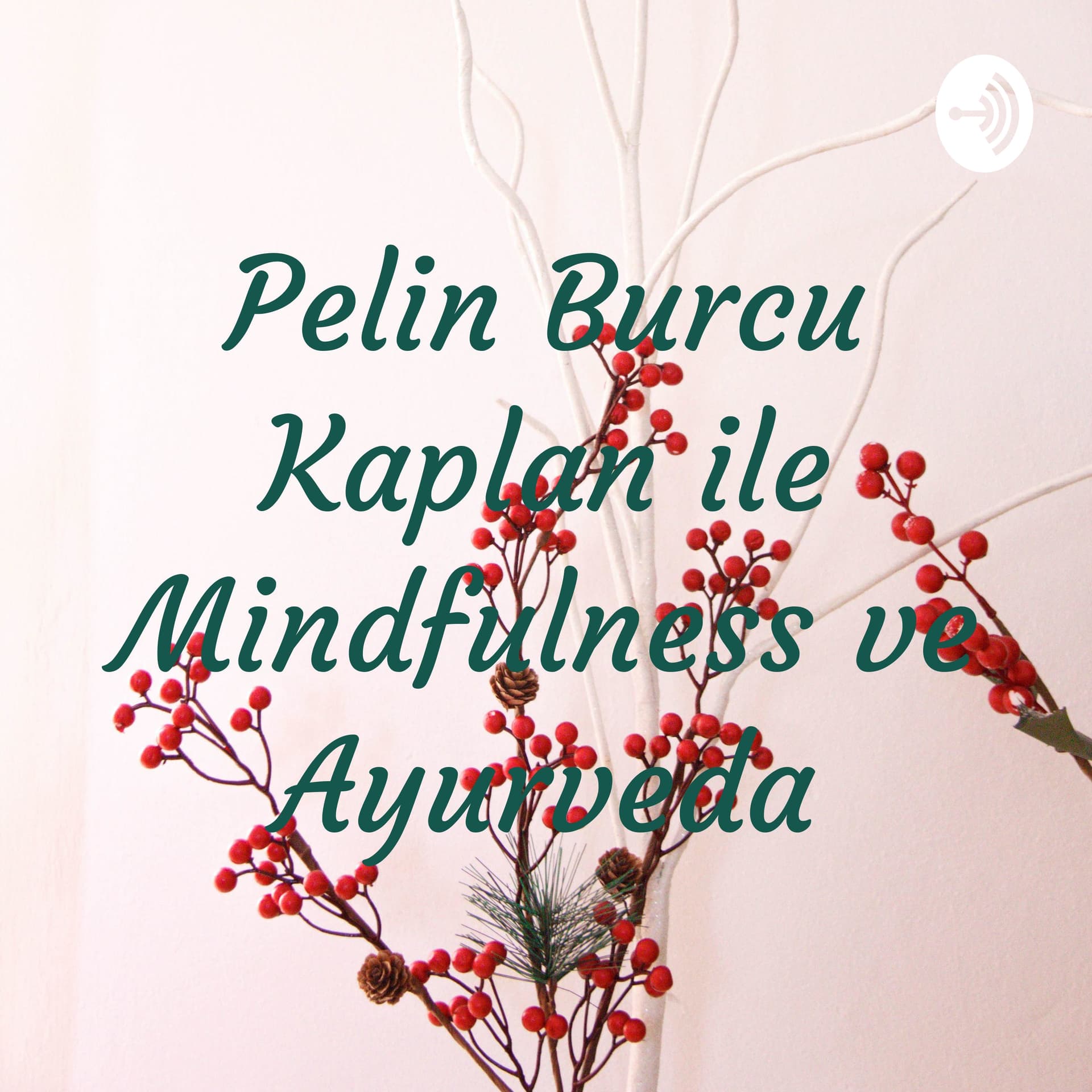 Pelin Burcu Kaplan ile Mindfulness ve Ayurveda - Podcasts