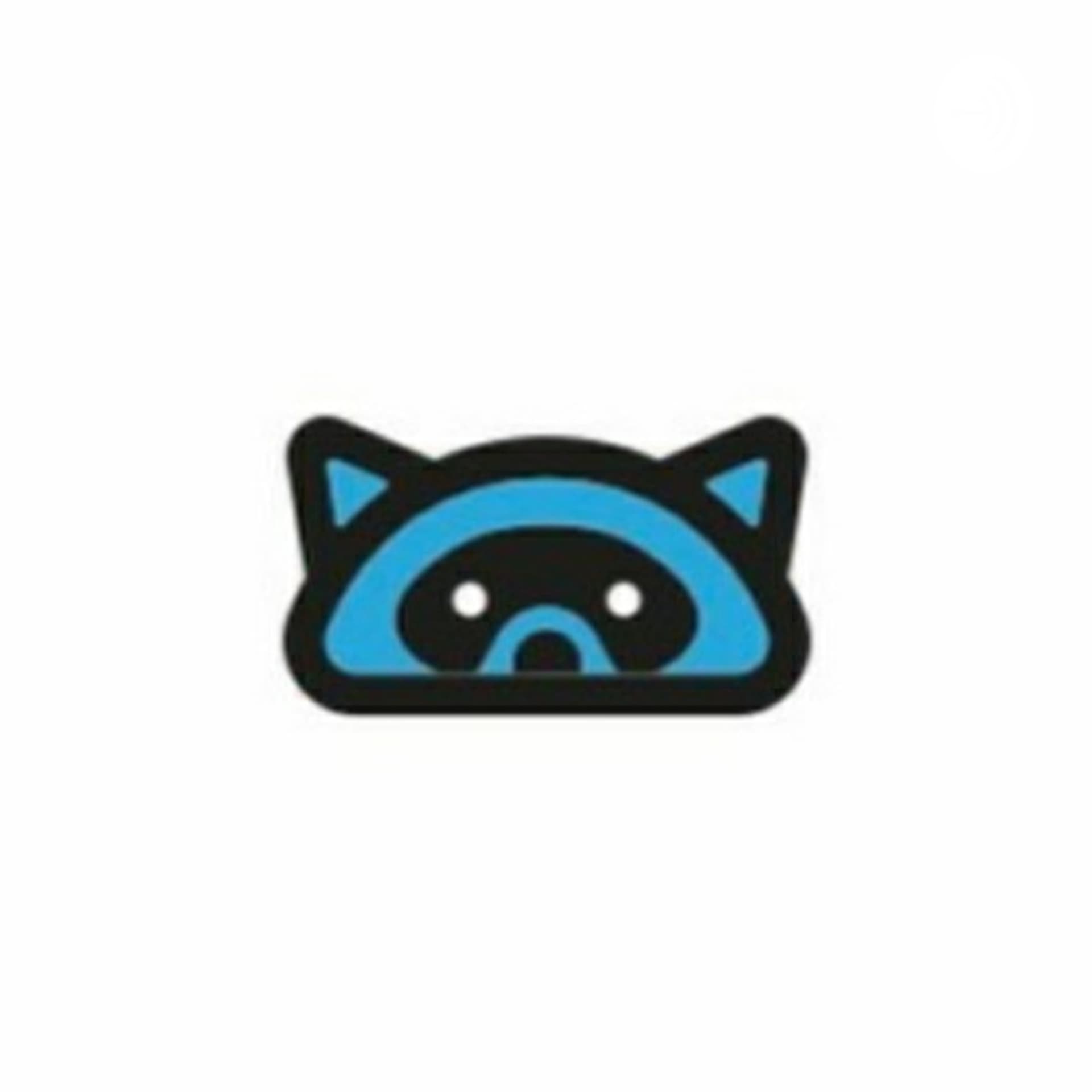 The Racoon