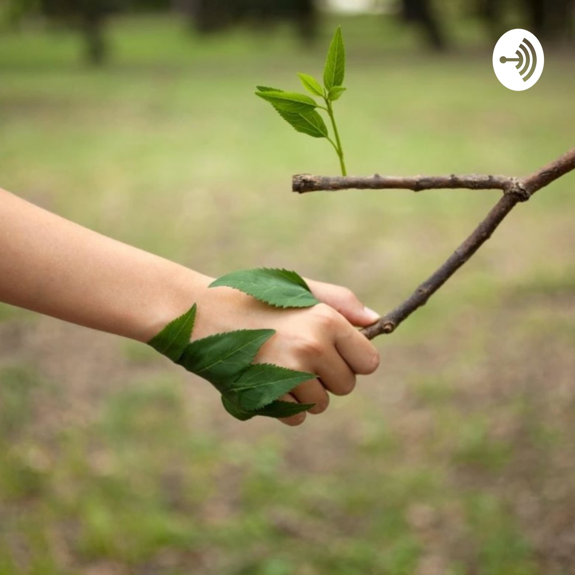 Lekcje przyrody - Podcasts
