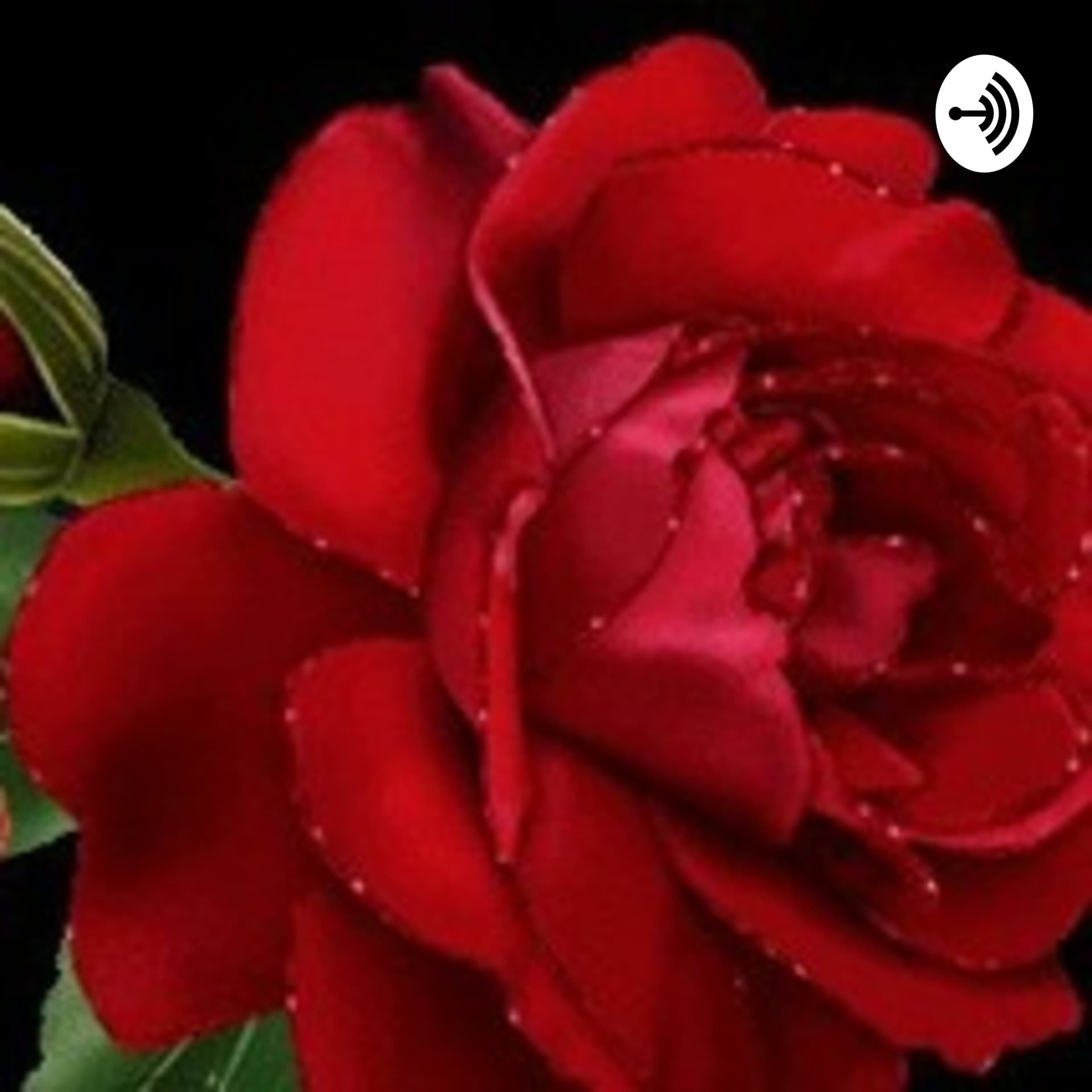 بودكاست التفاؤل - Podcasts