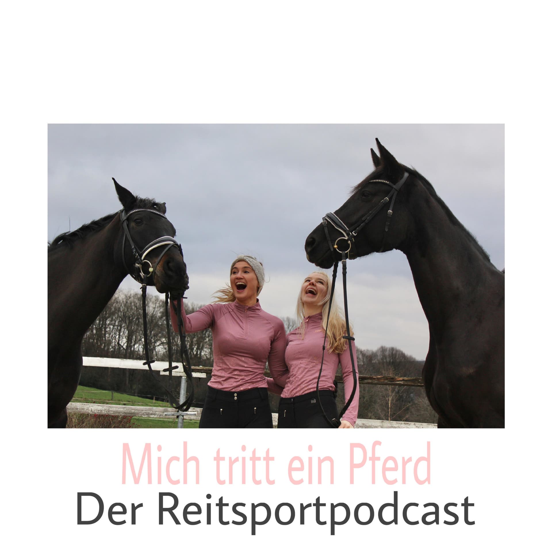 Mich tritt ein Pferd - Der Reitsportpodcast - Podcasts