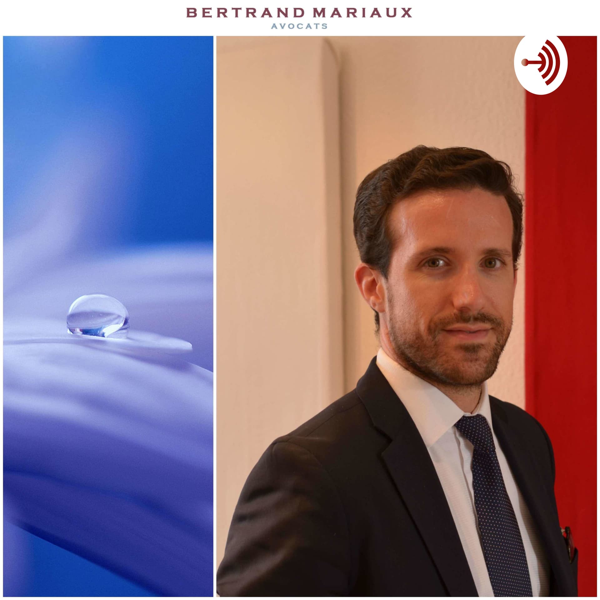BERTRAND MARIAUX AVOCATS PODCAST - Podcasts