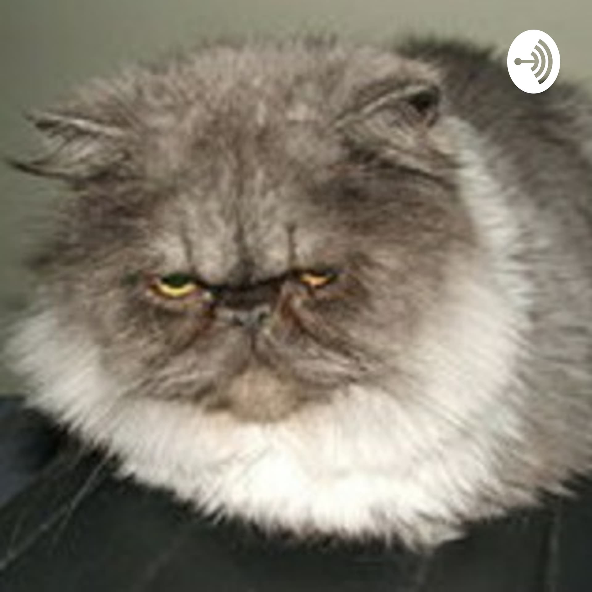 gatospardos
