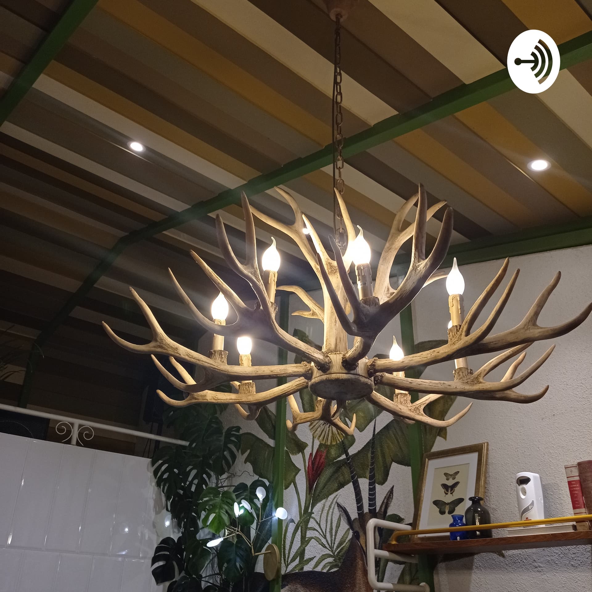 Stock Wanderer - Podcasts