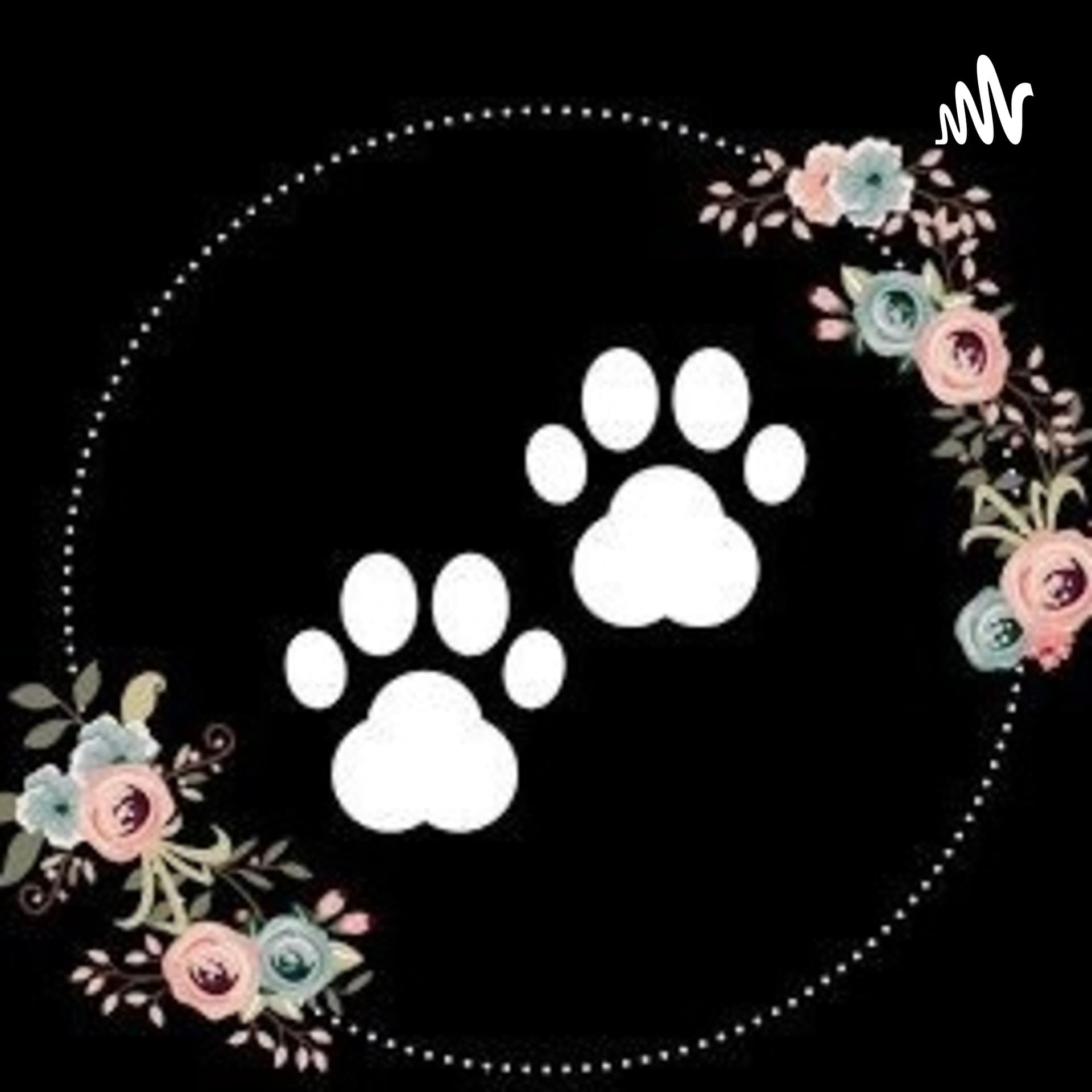 Patas Curiosas - Podcasts