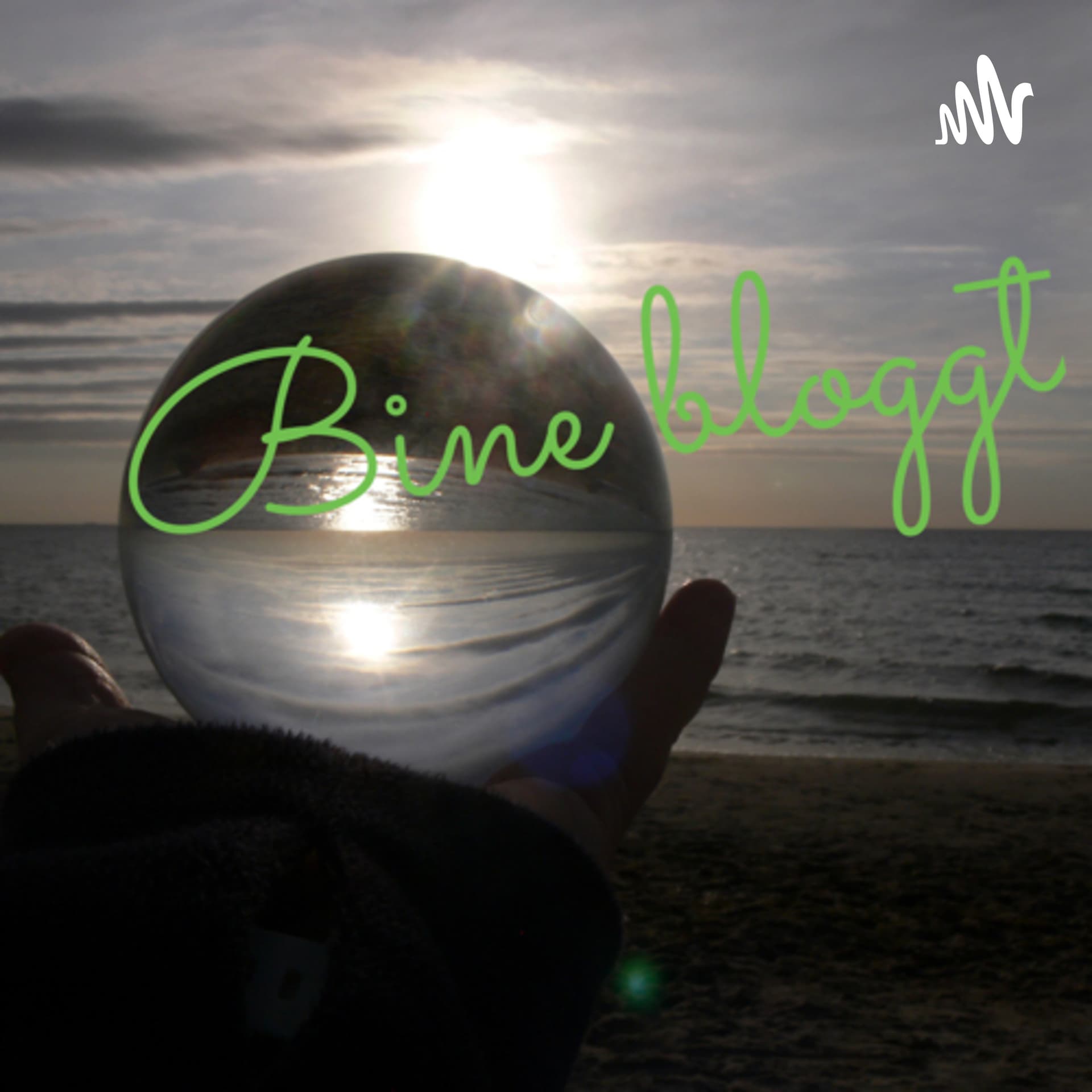 Bine bloggt - Podcasts