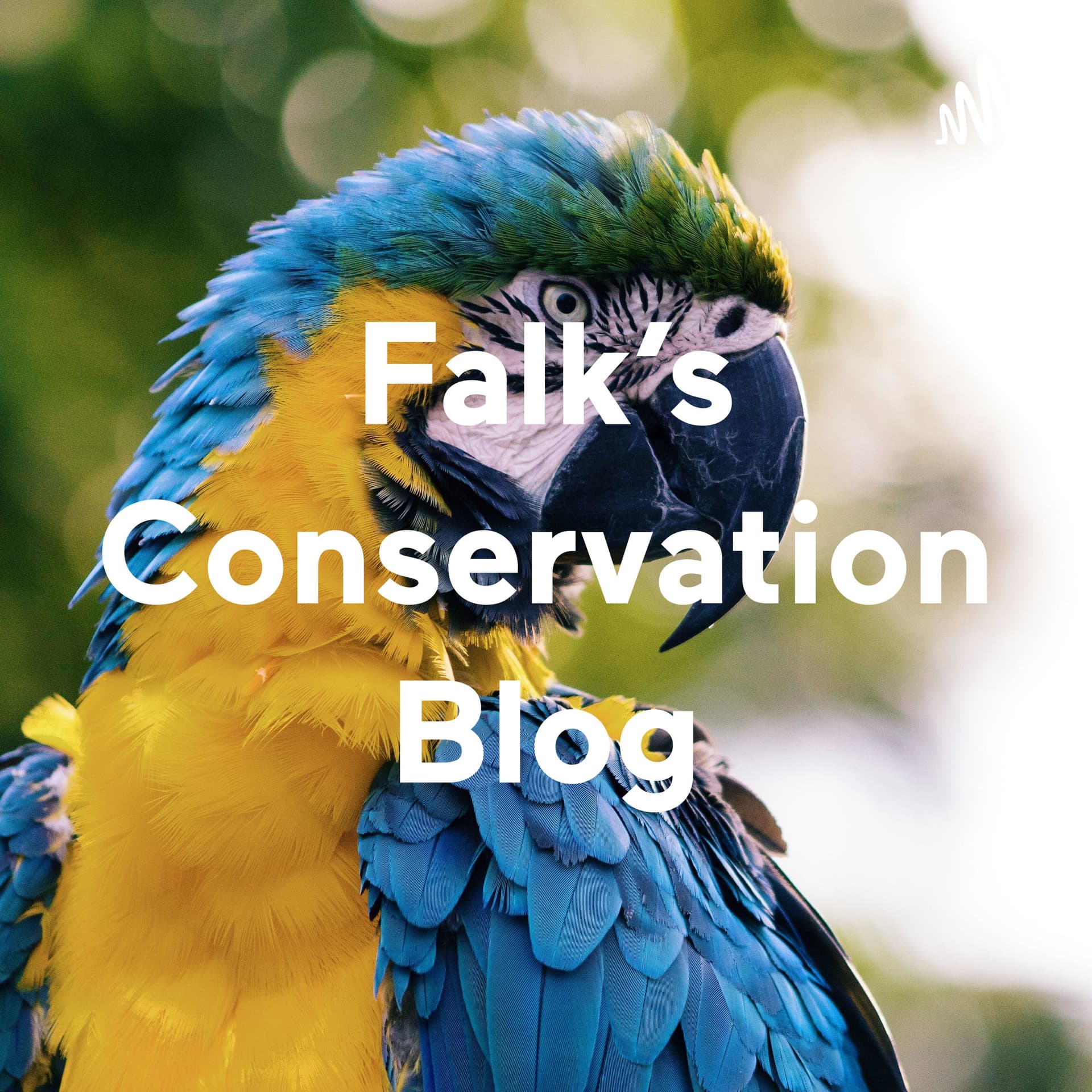 Falk's Conservation Opinion Blog - Podcasts