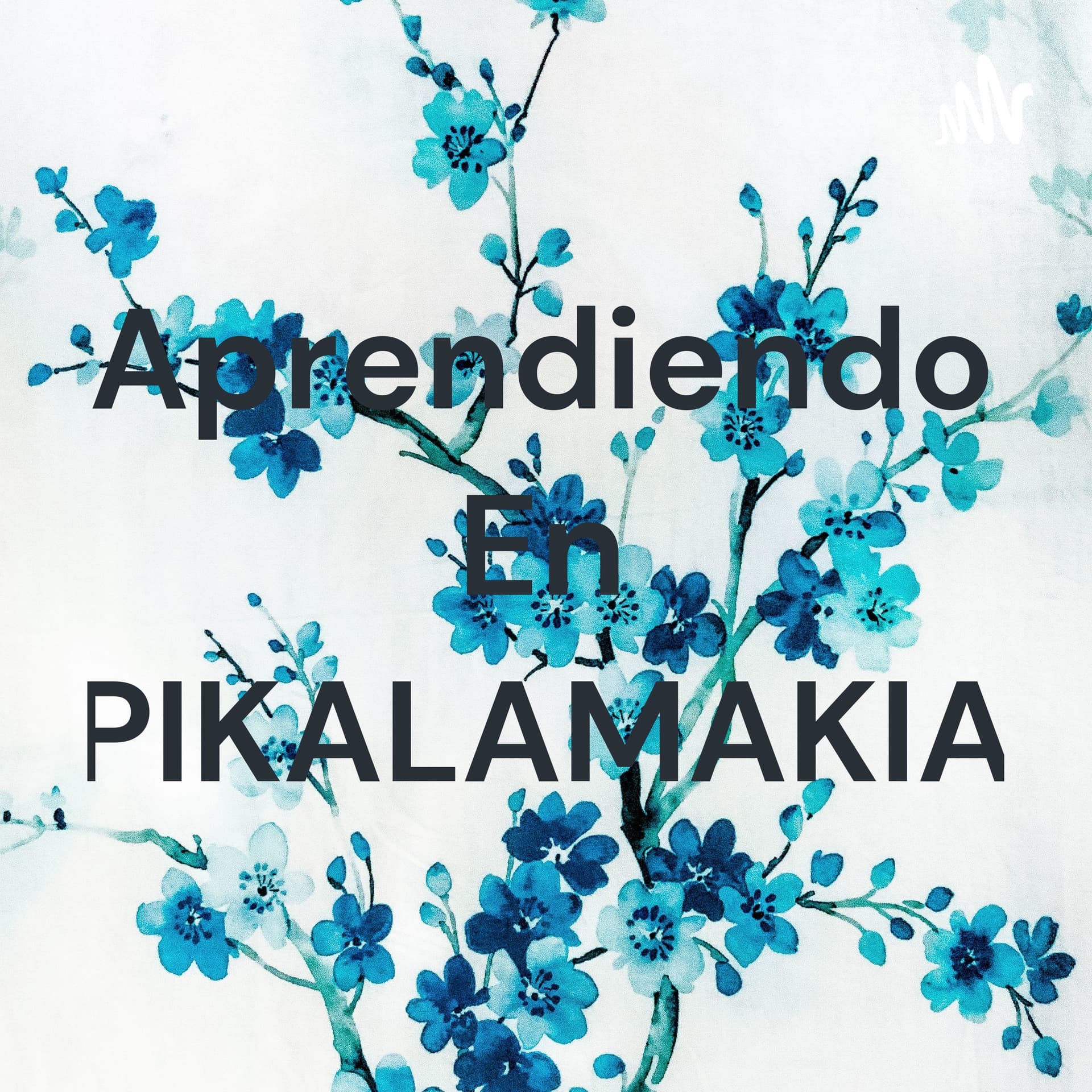 Aprendiendo En PIKALAMAKIA - Podcasts