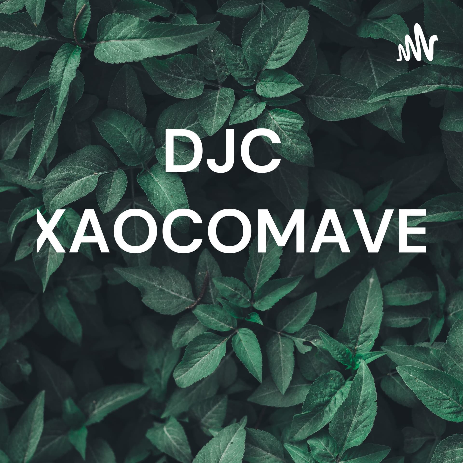 DJCVCONEXAOCOMAVERDADE. - Podcasts