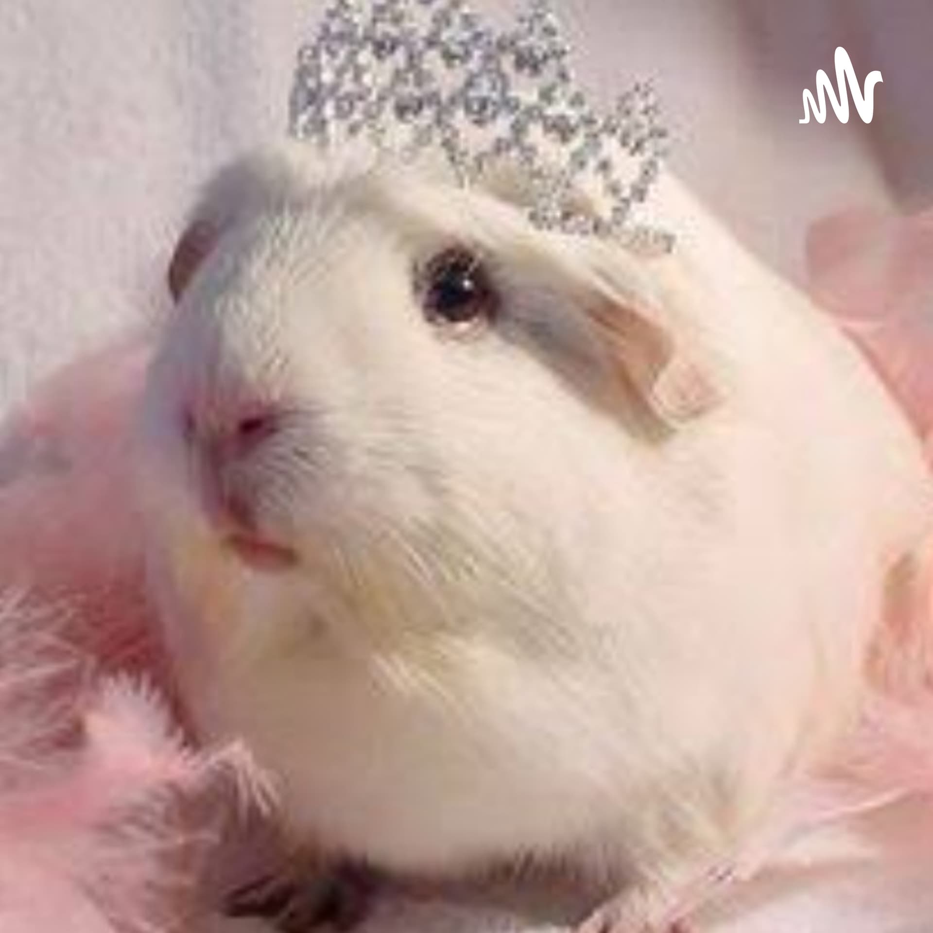 Información De Cuyos