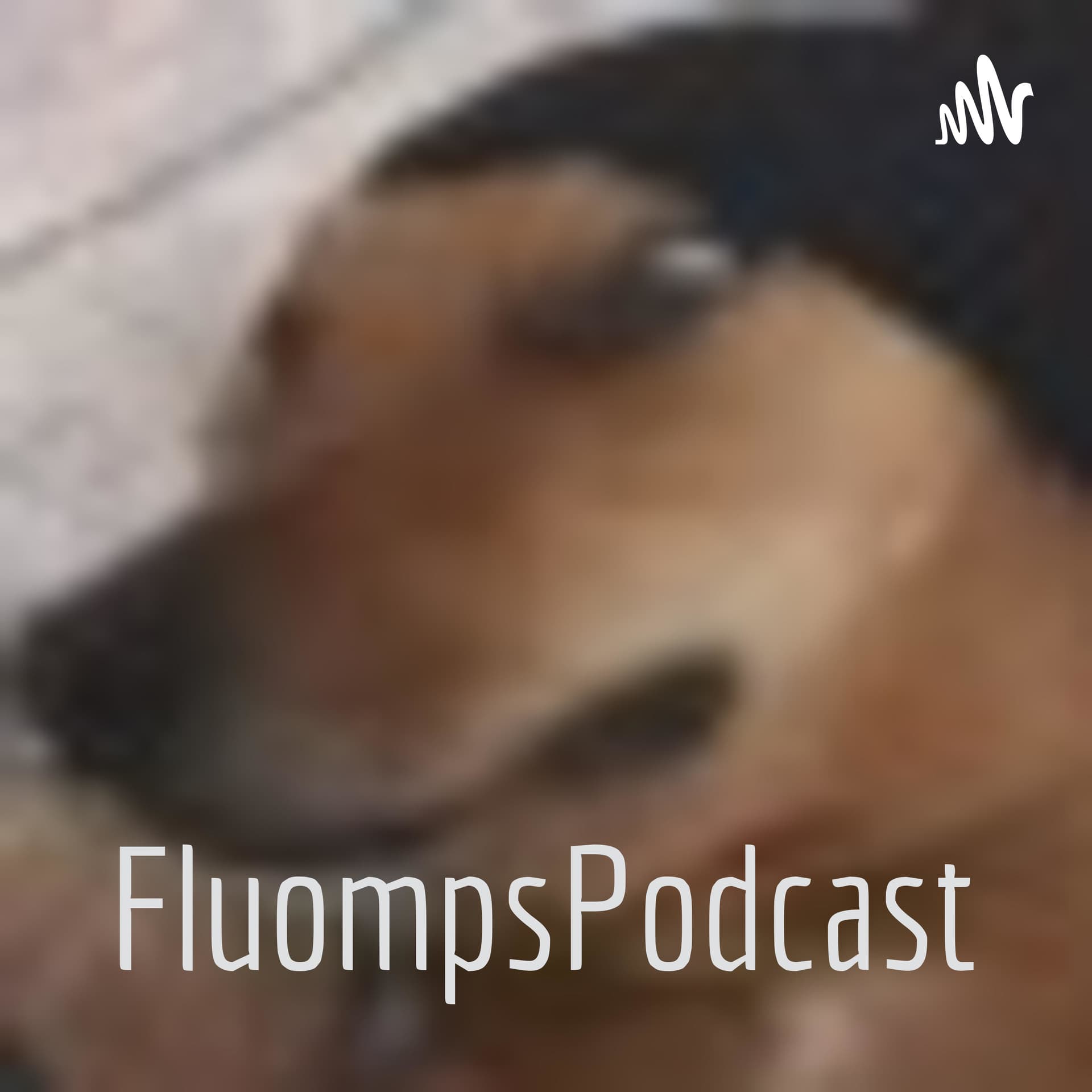 FluompsPodcast - Podcasts