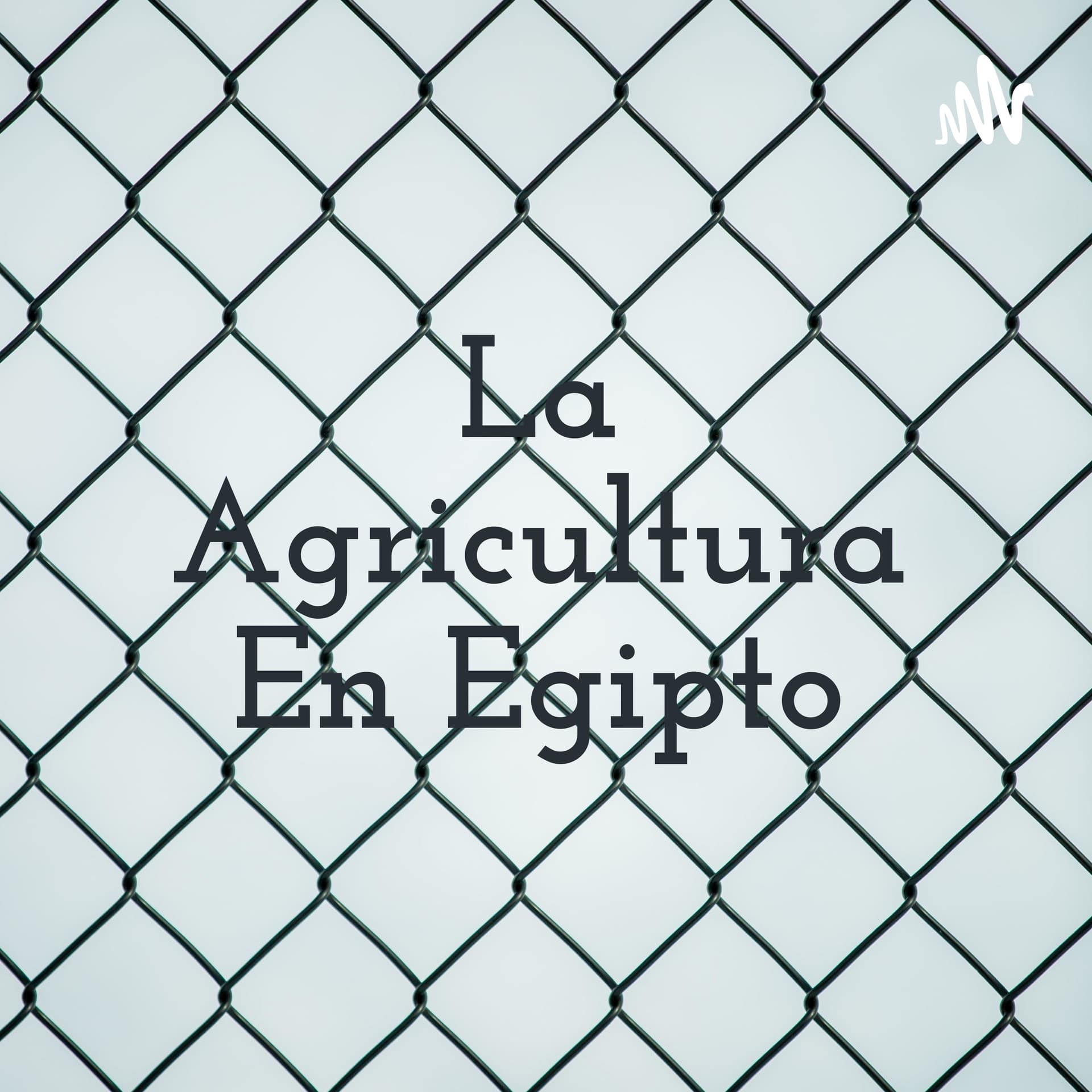 La Agricultura En Egipto - Podcasts