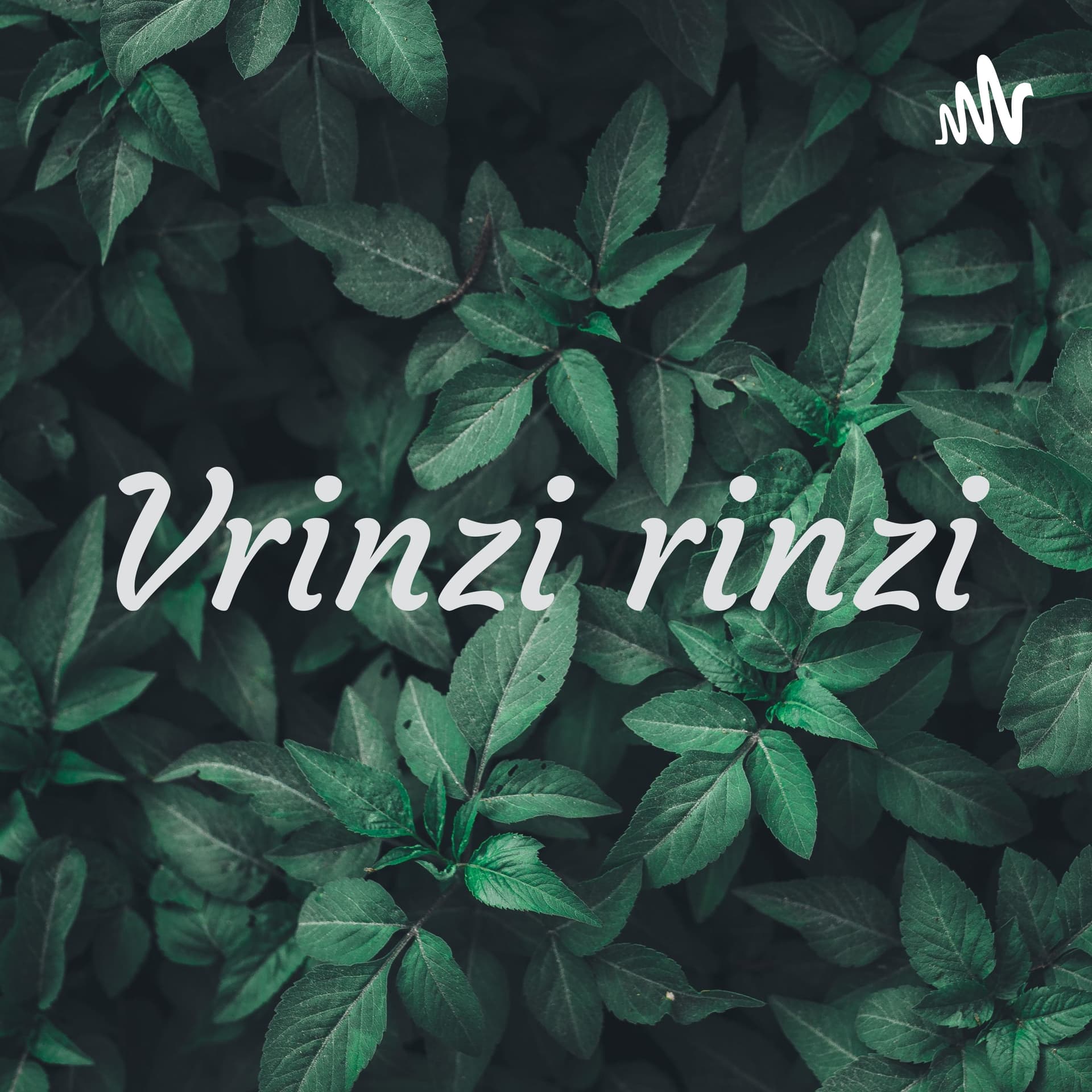 Vrinzi rinzi - Podcasts