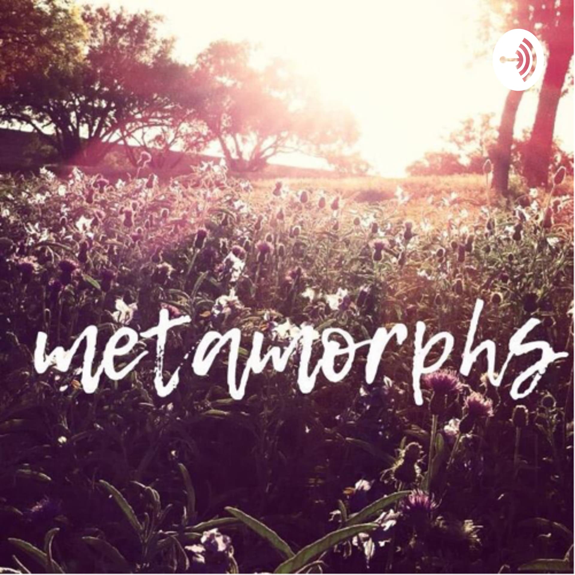 Metamorphs - Podcasts