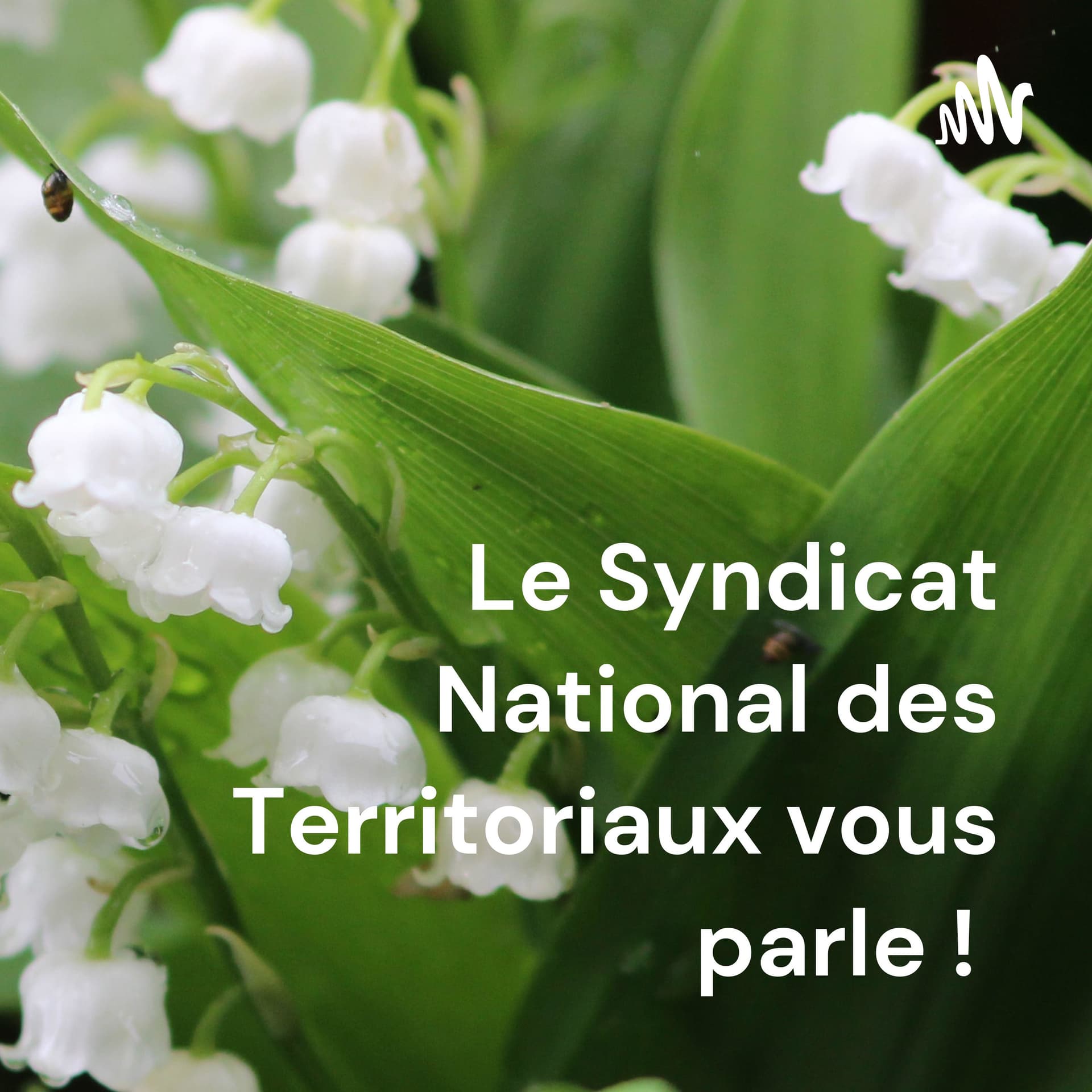 Le Syndicat National des Territoriaux vous parle ! - Podcasts