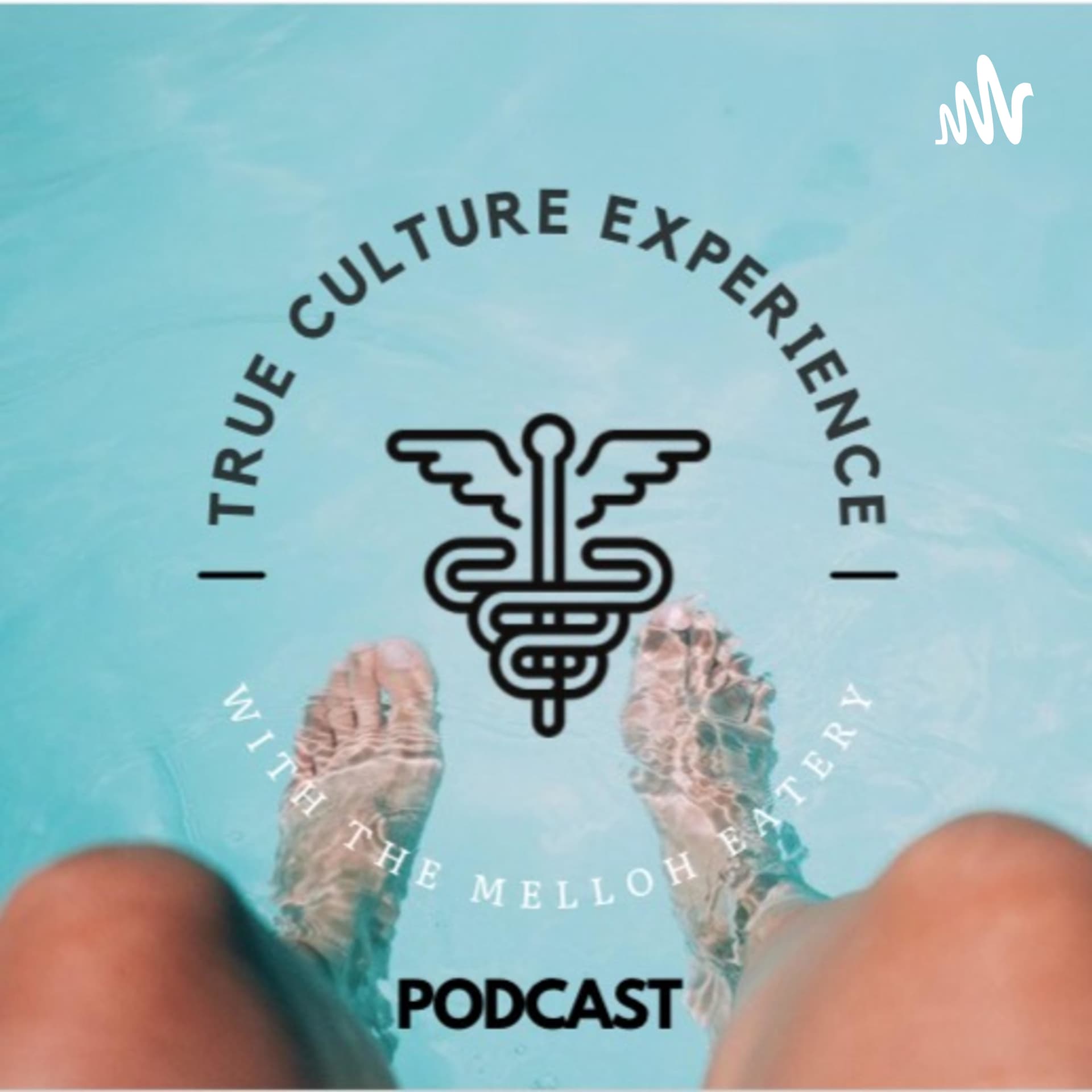 True Culture Experience - Podcasts