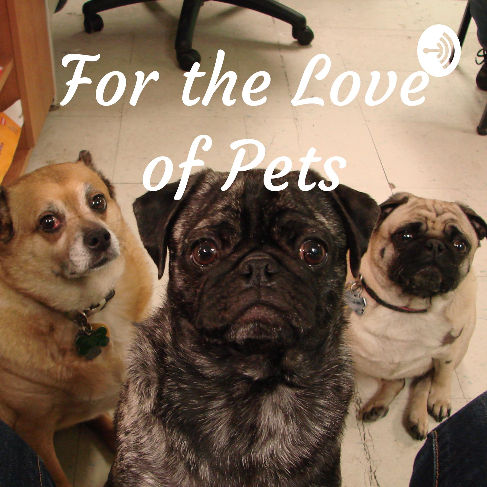 For the Love of Pets - Podcasts