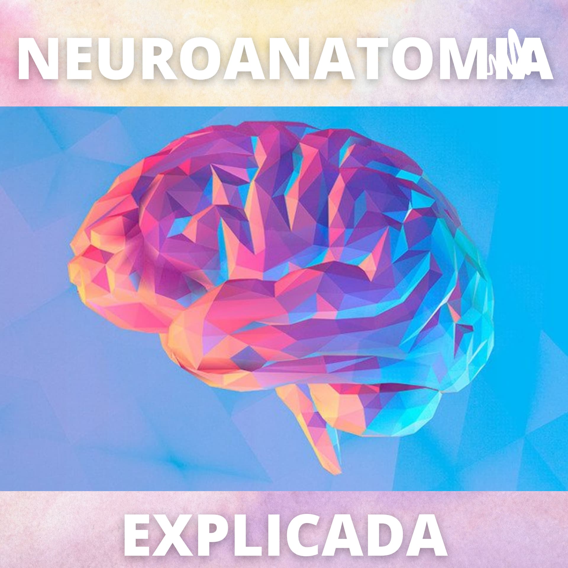 Neuroanatomia Explicada - Podcasts