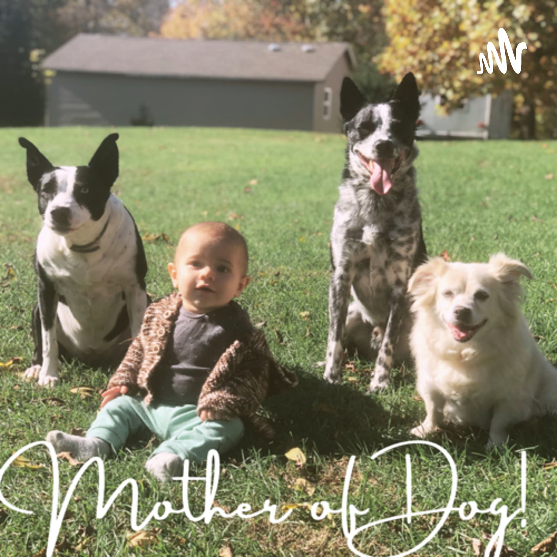 Mother of Dog! - Podcasts