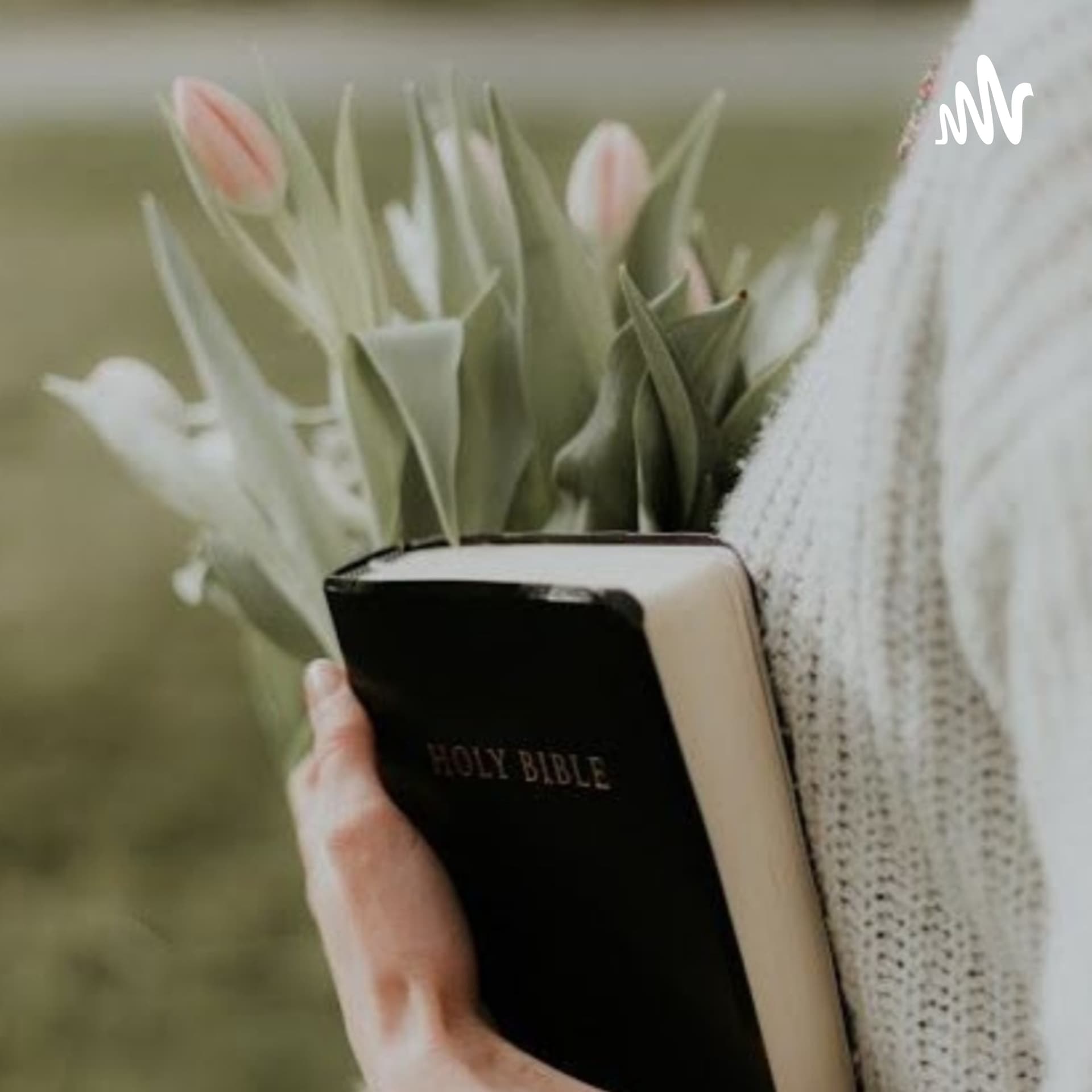 Mulheres Comprometidas - Podcasts
