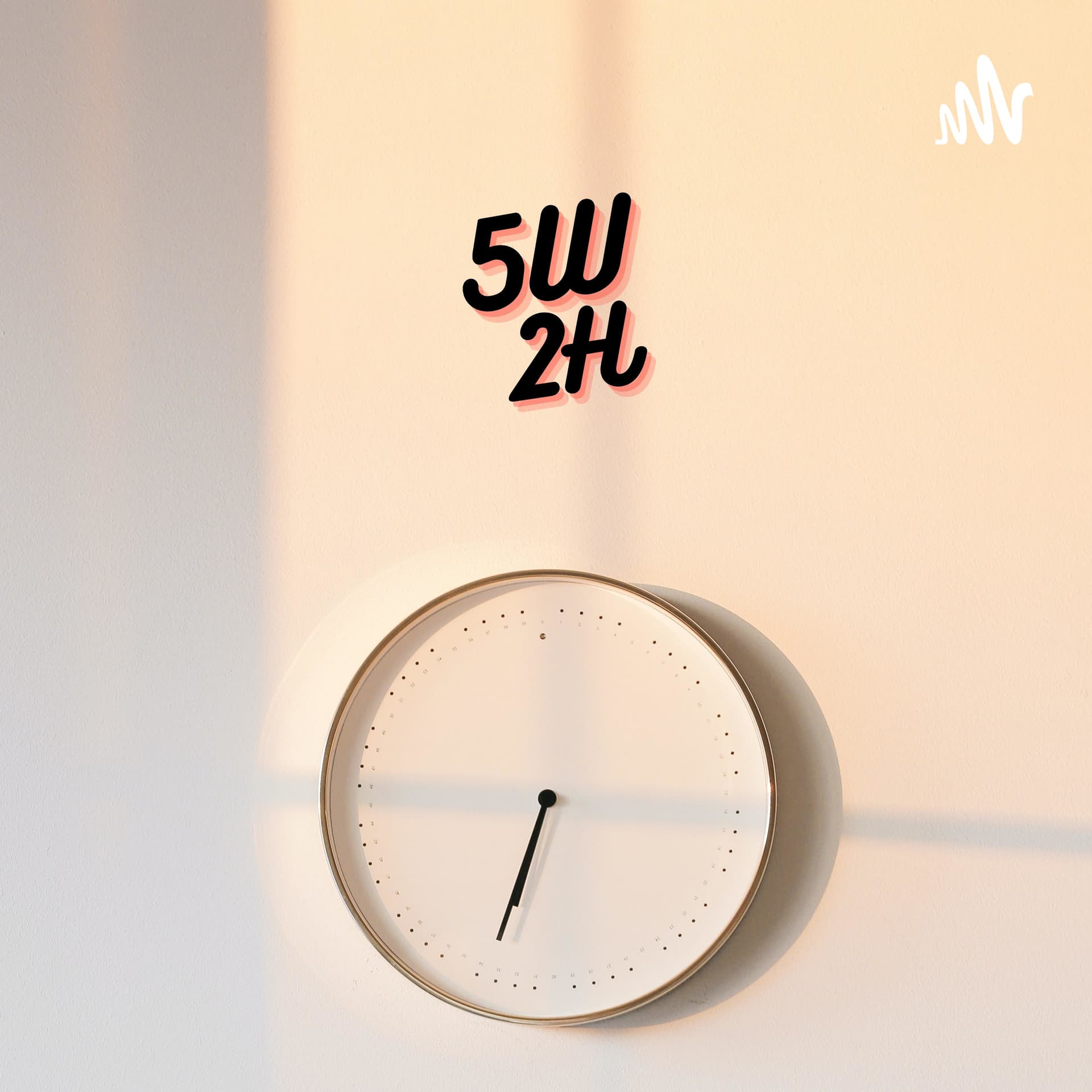 5W2H