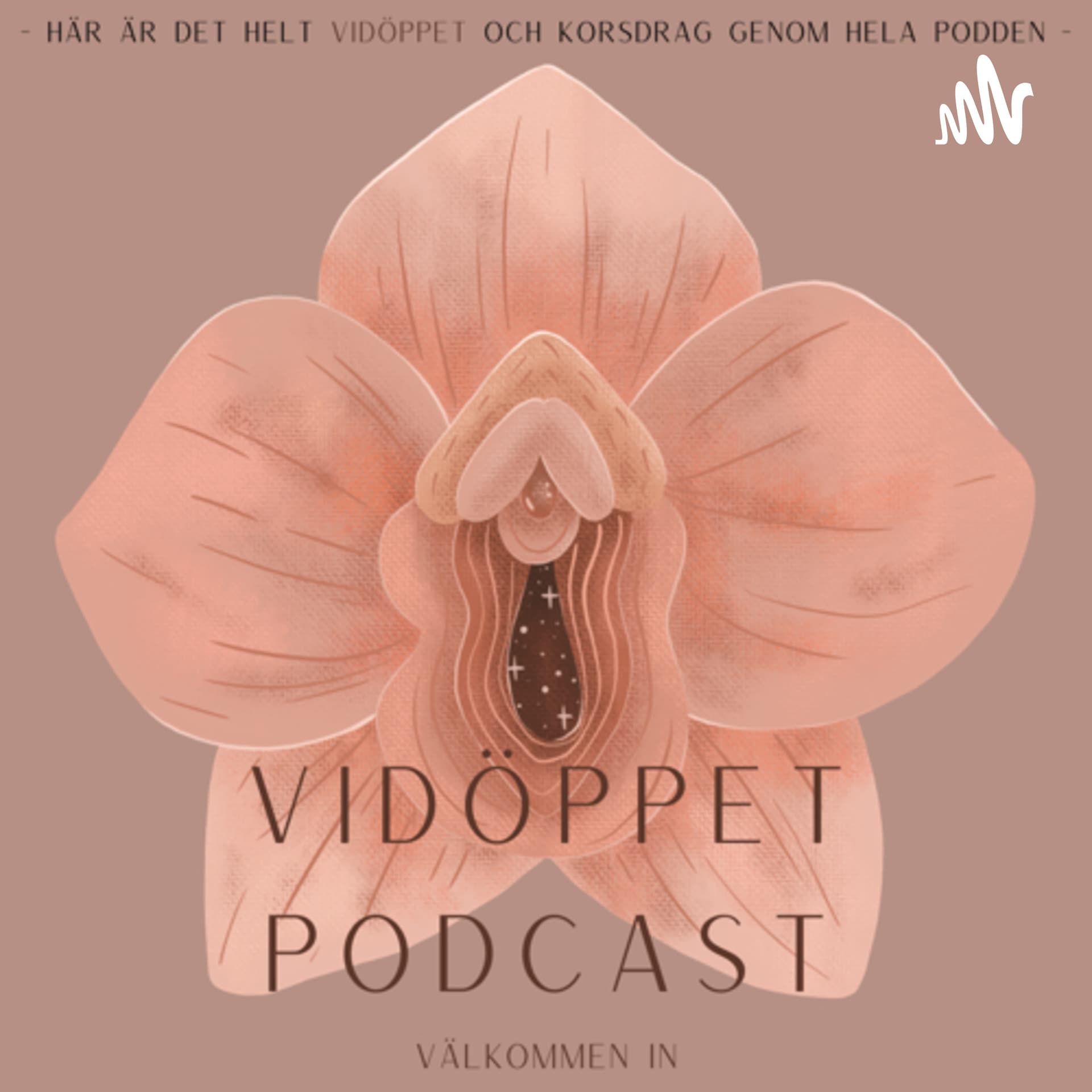 Vidöppet