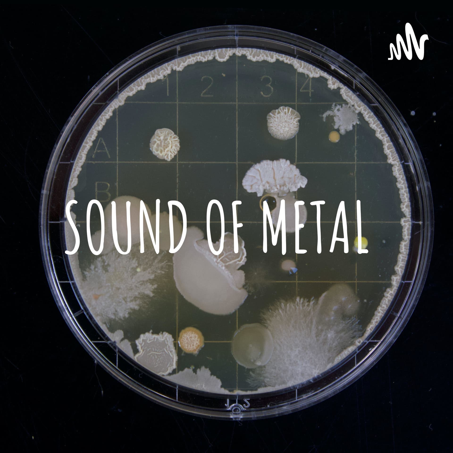 SOUND OF METAL - Podcasts