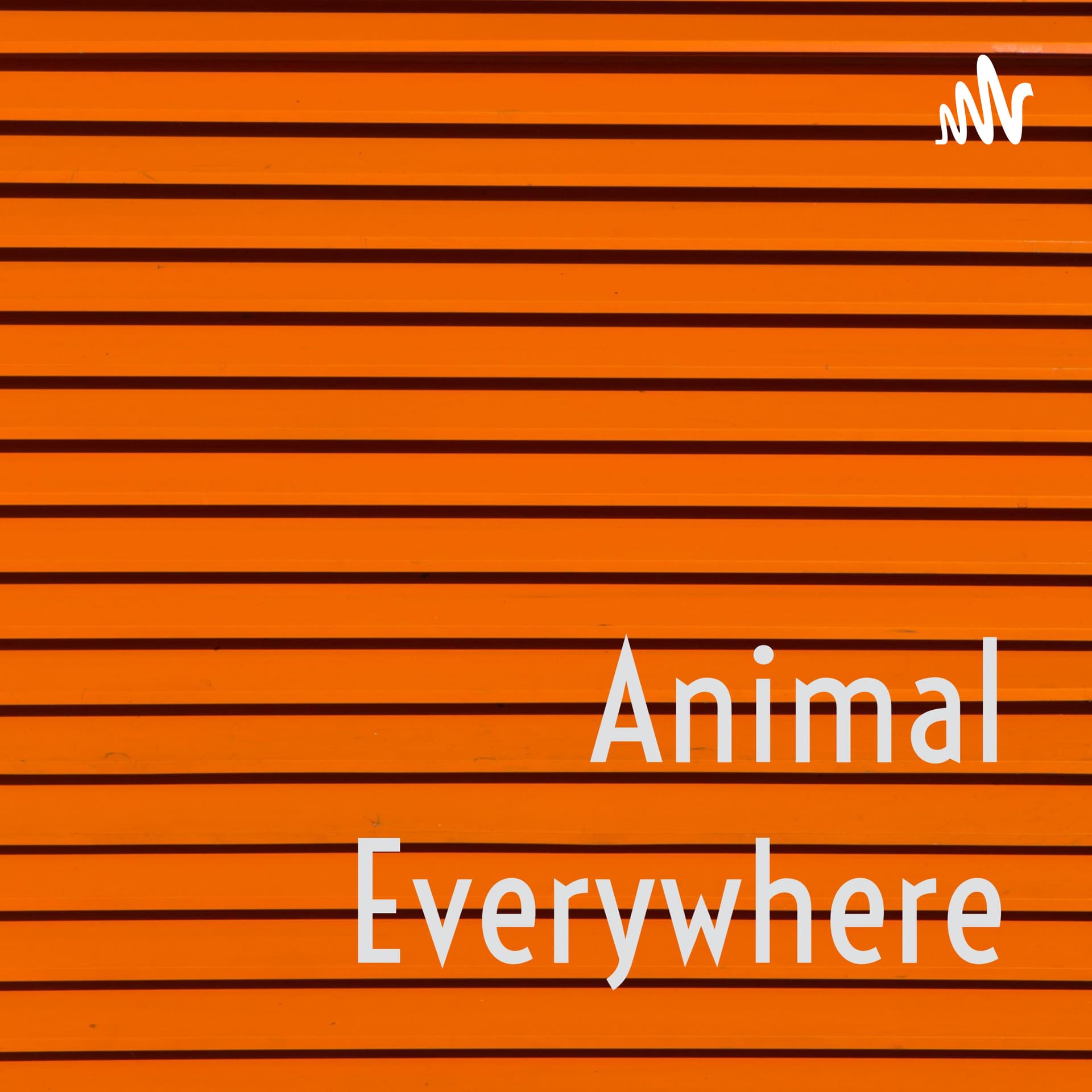 Animal Everywhere