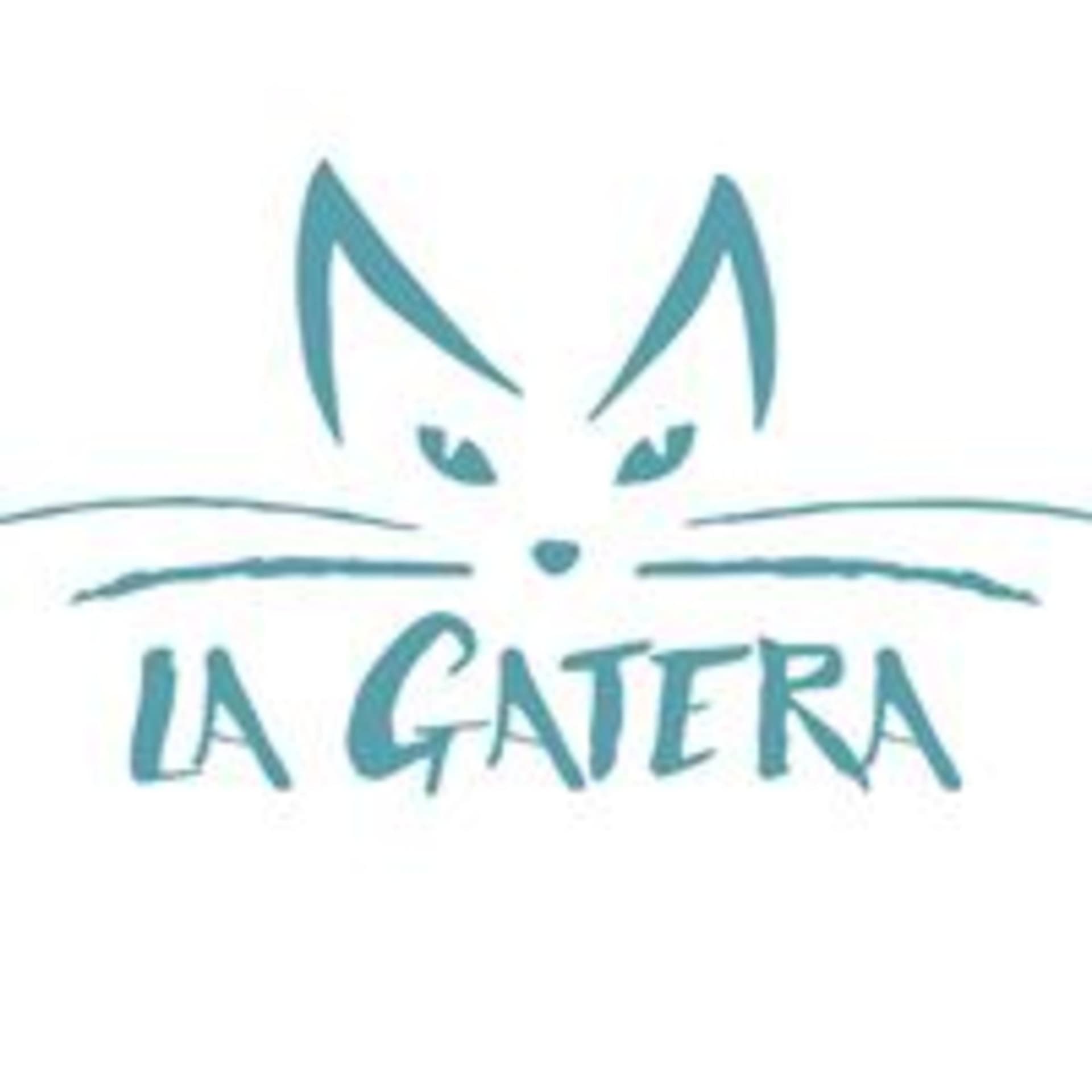 LA GATERA Medicina Felina para veterinarios... y Gatocuestiones para propietarios - Podcasts