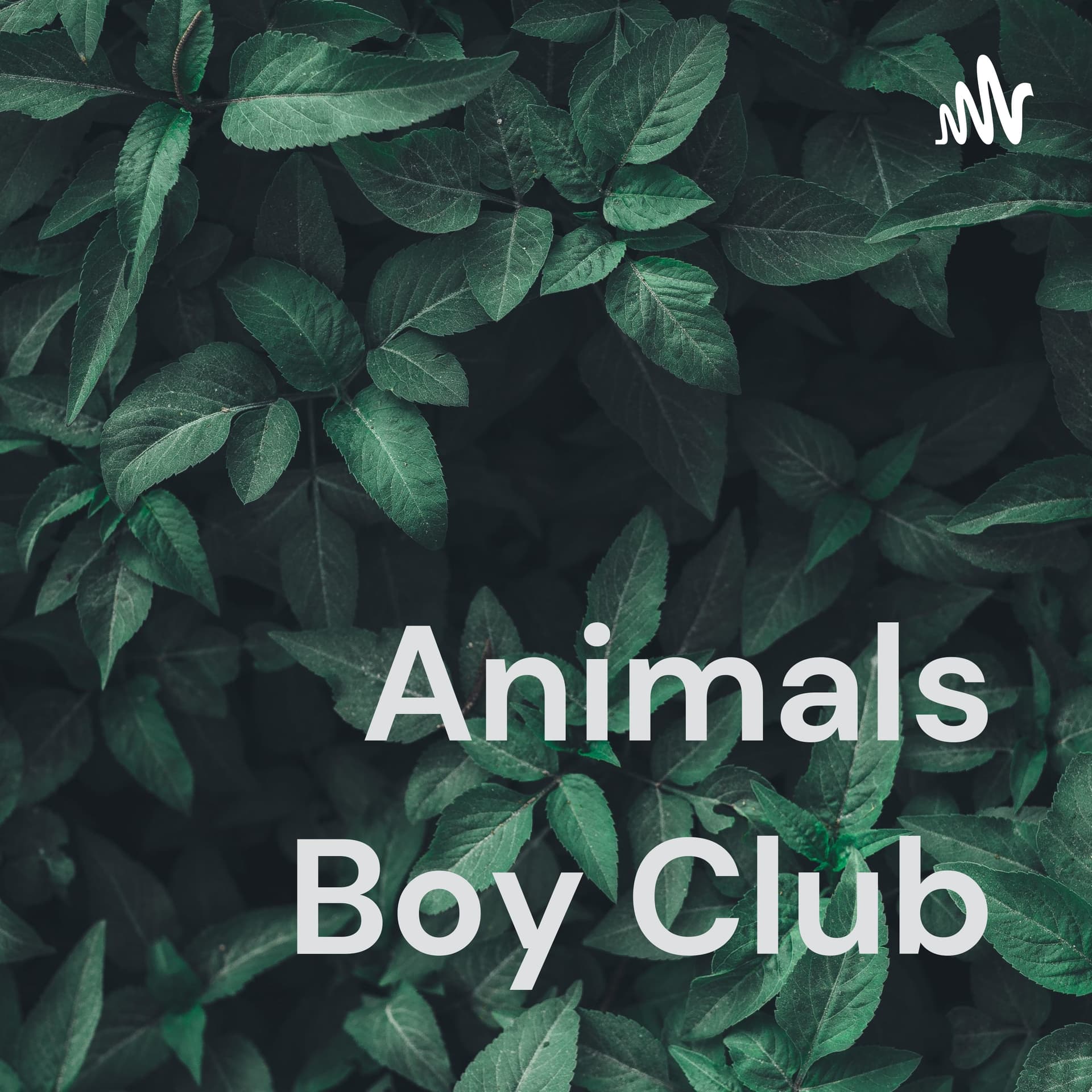 Animals Boy Club