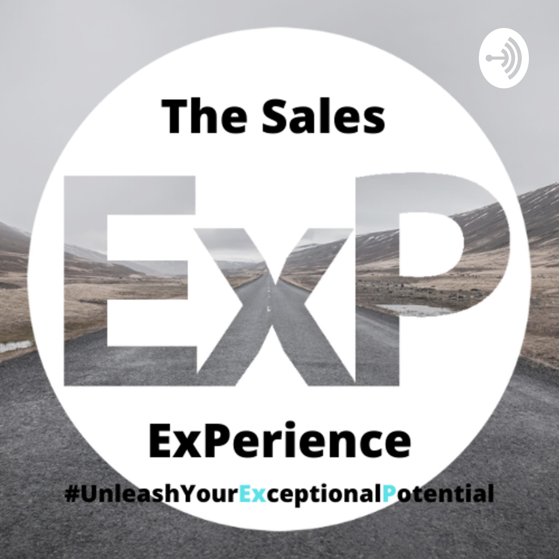 The Sales ExPerience Podcast - Podcasts