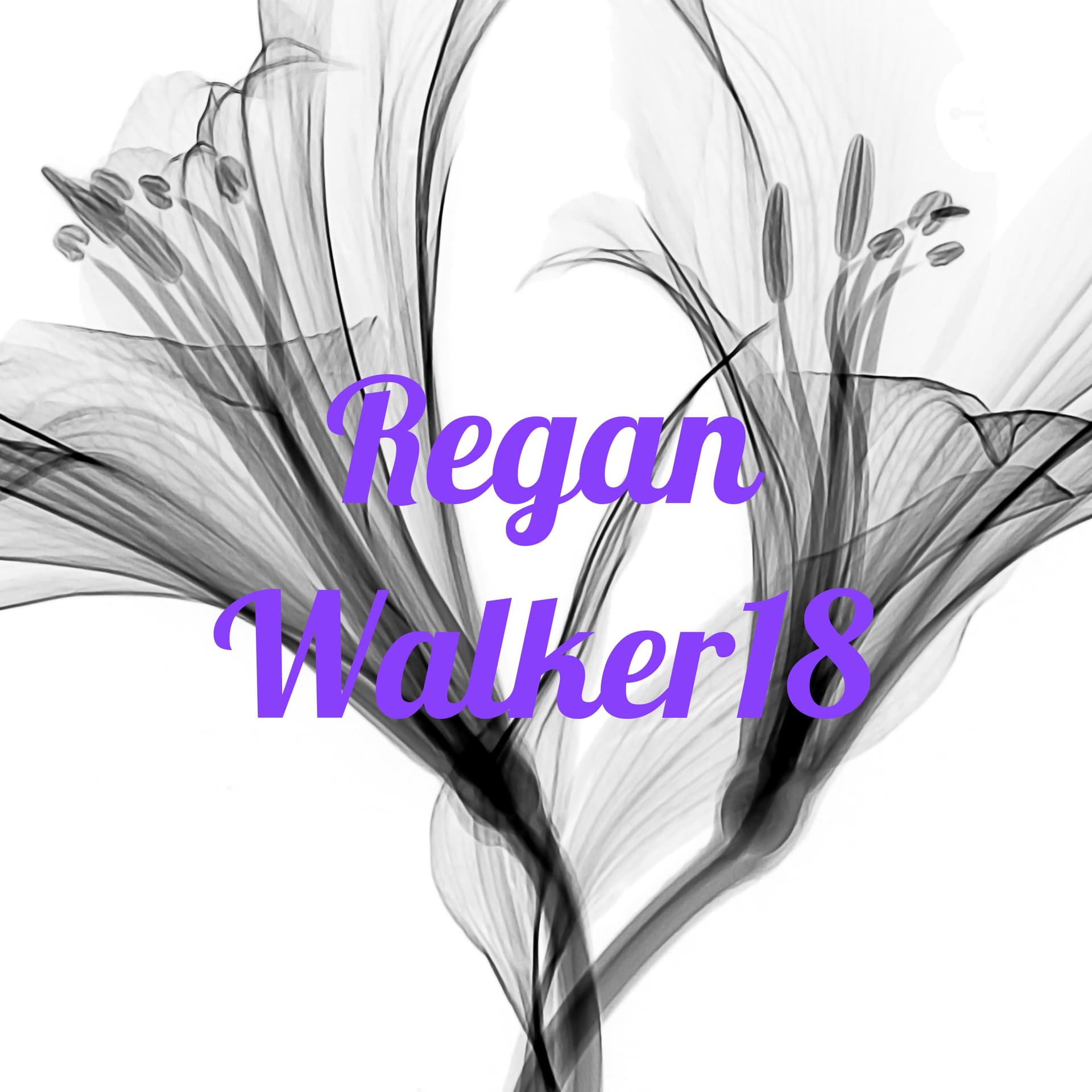 Regan Walker18 - Podcasts