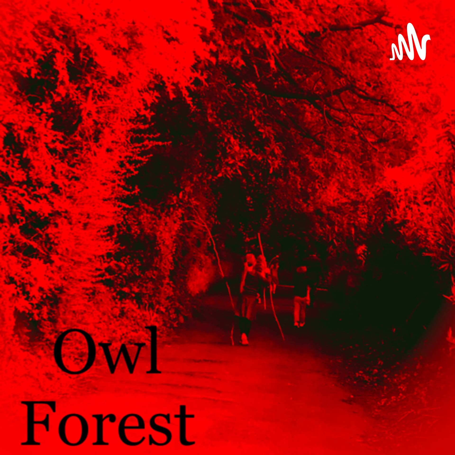 Stories From Owl Forest