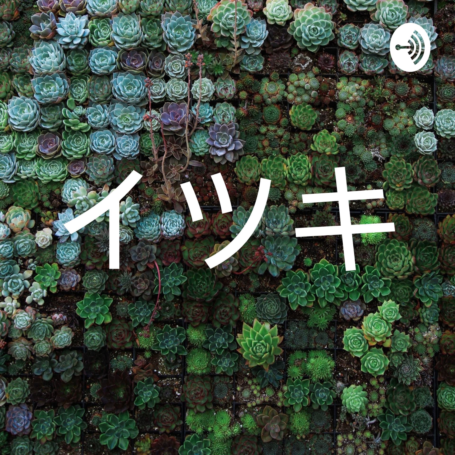 イツキ - Podcasts
