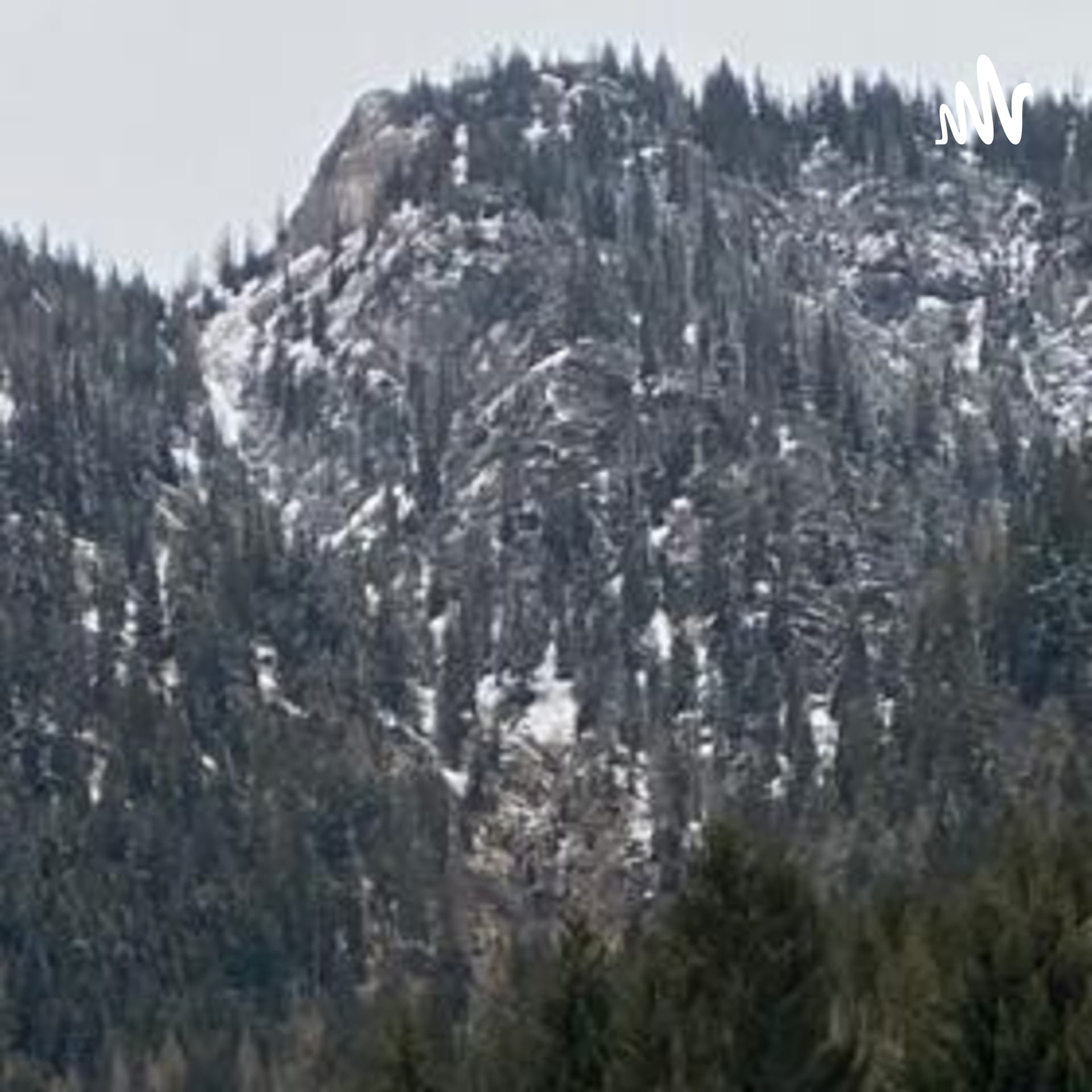 WALD UND STERNEN KRIEGER#Junge Forscher für natur, weltraum Und Menschheit. - Podcasts